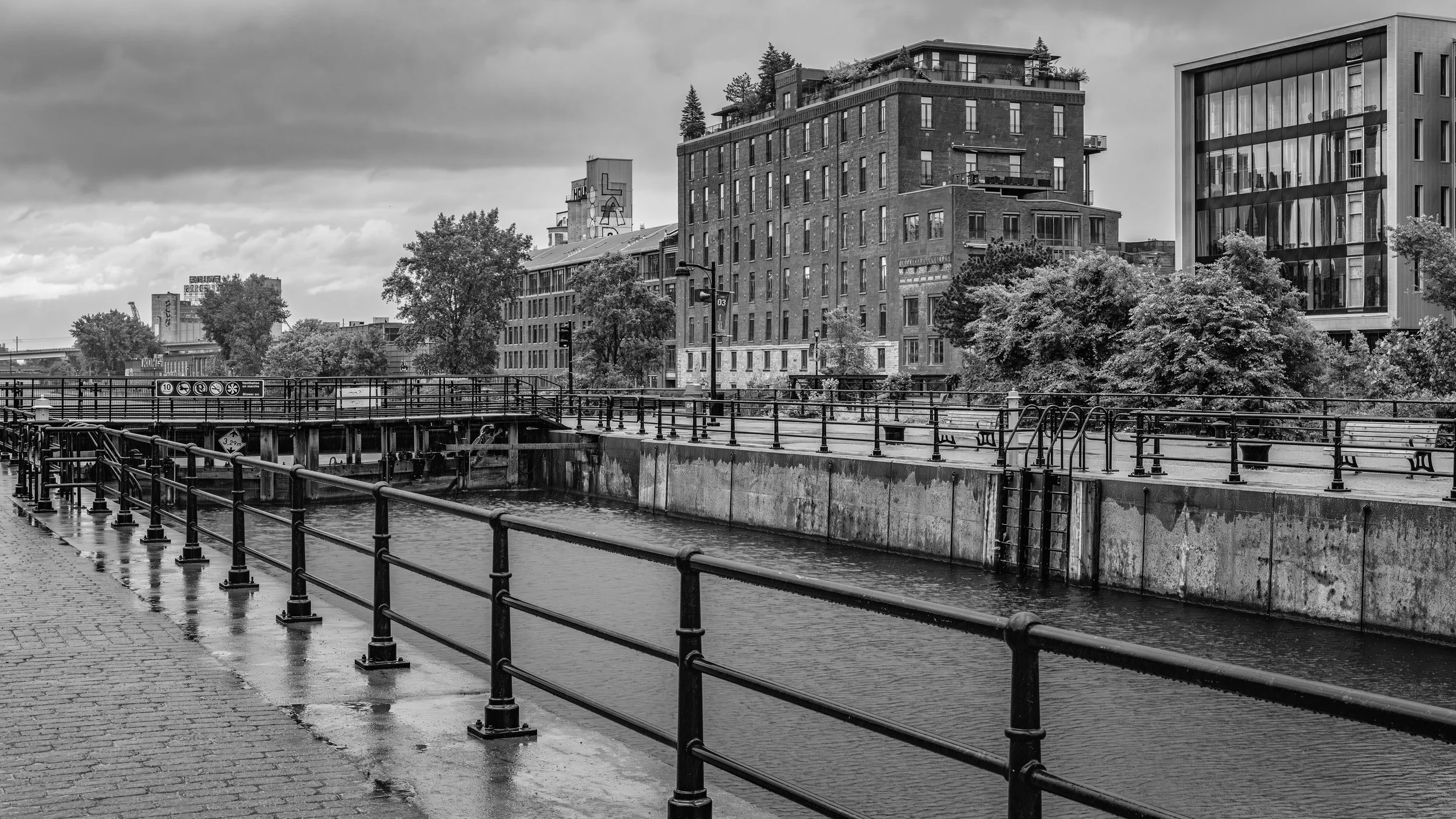 Black and white photo of a city waterfront with buildings, trees, benches, and railing along the water on an overcast day.