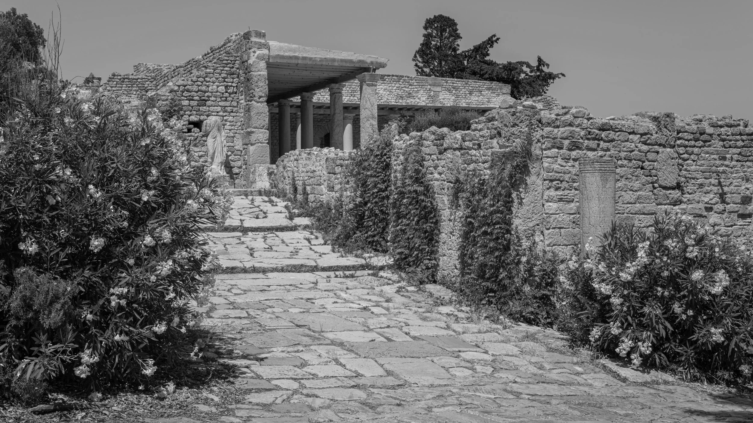 Black and white photo of ancient stone ruins with a pathway and overgrown plants.