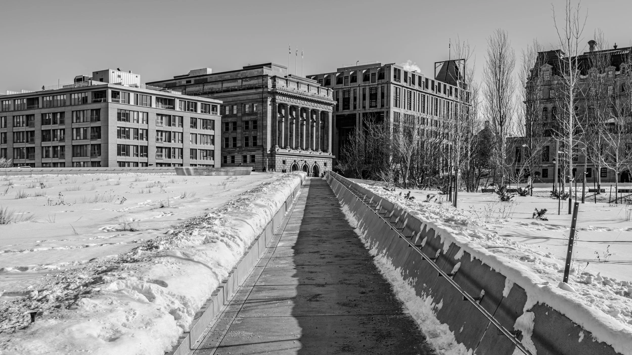 A snowy urban landscape with a pathway leading towards modern and historic buildings, leafless trees, and snow-covered ground.
