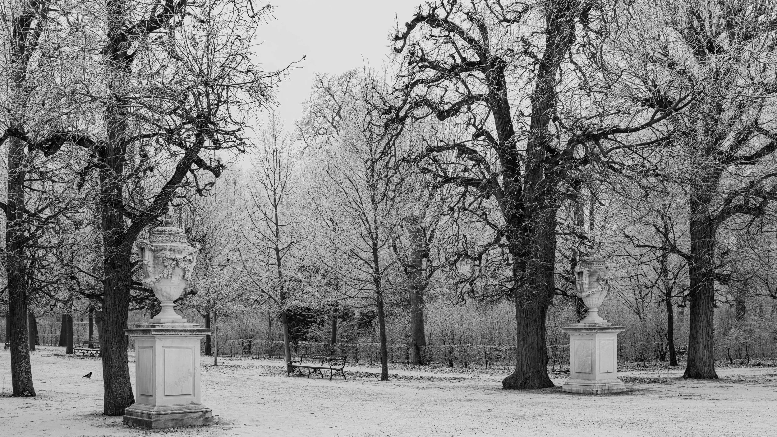 Black and white photograph of a winter park with leafless trees covered in snow, ornate stone planters, and park benches.