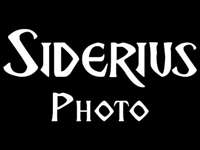 Marcel Siderius