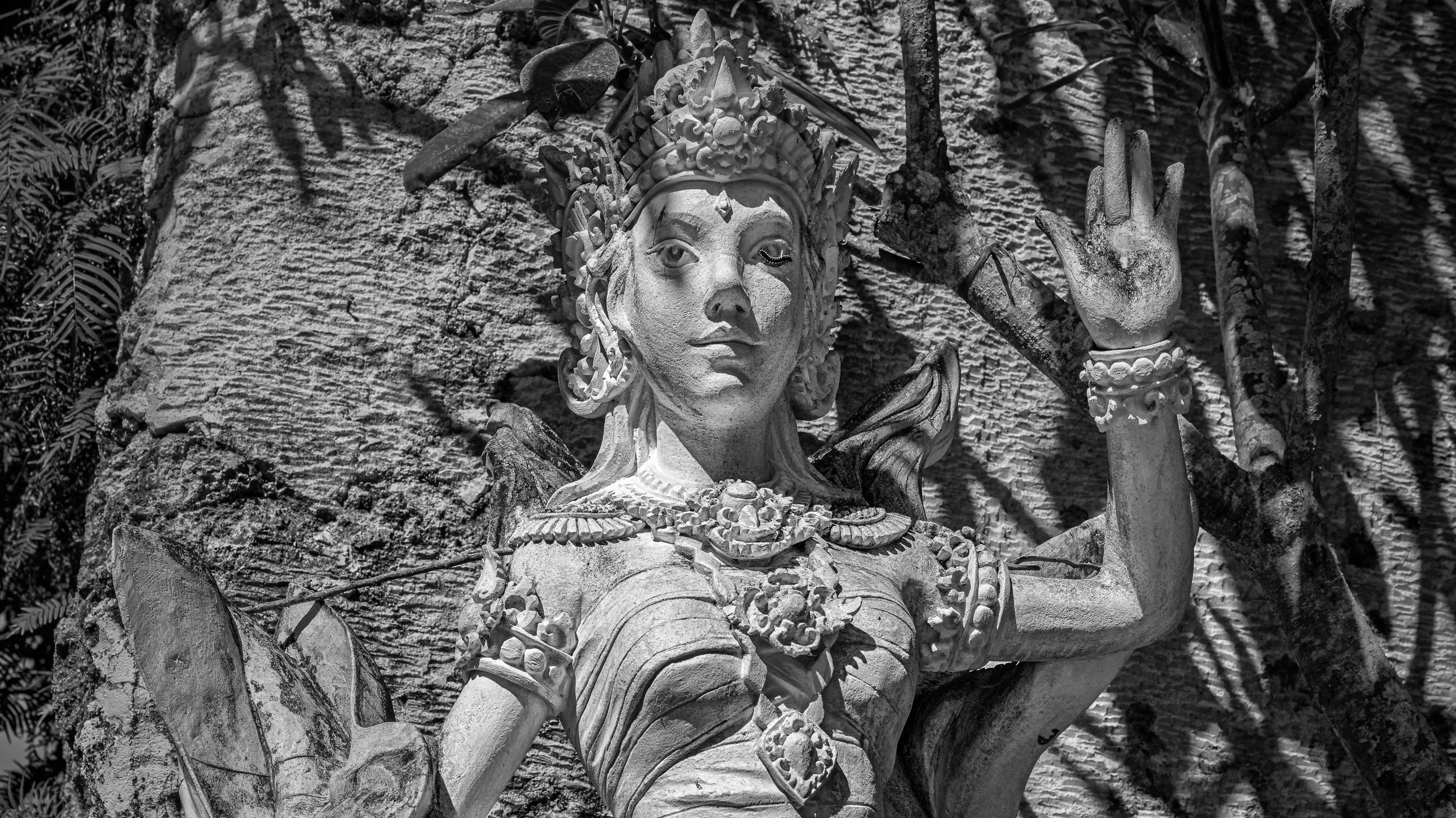 Black and white photograph of a carved stone statue of a female deity, adorned with intricate jewelry, a headdress, and a hand raised in blessing, set against a textured stone wall surrounded by plants.