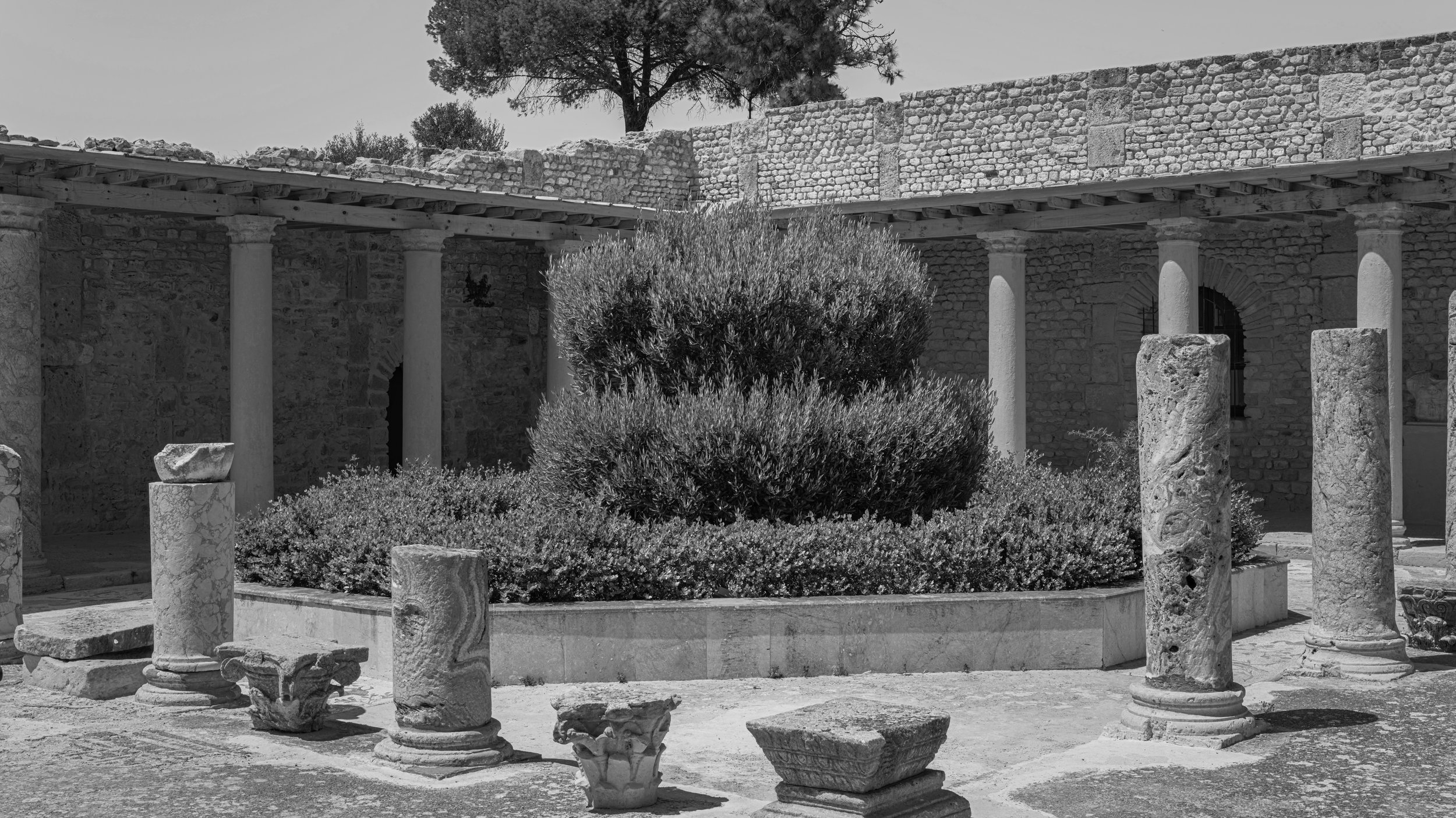 Historical ruins with stone columns, a small garden with bushes, and a stone wall in the background, all depicted in black and white.