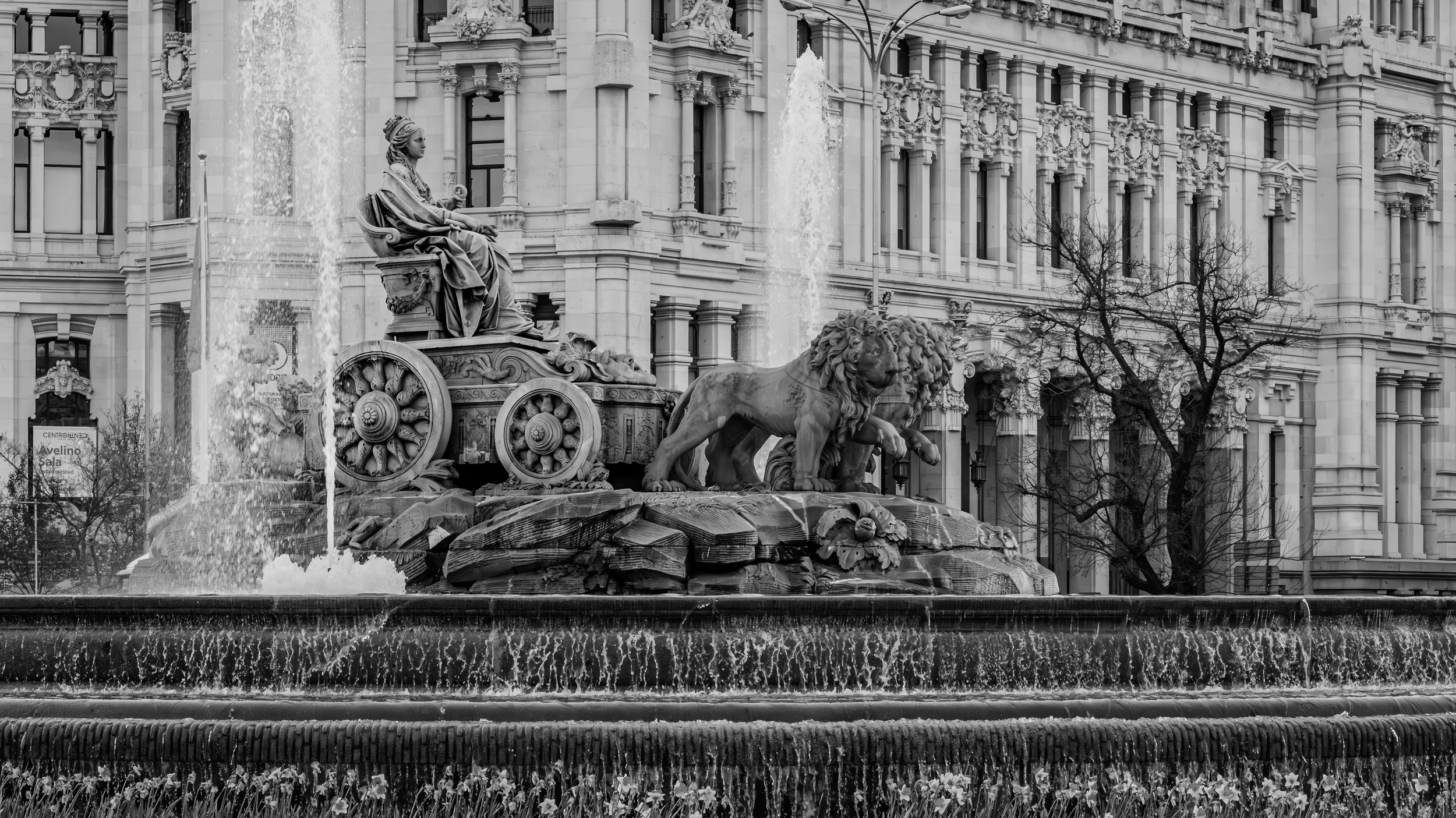 A black and white image of a decorative fountain featuring a statue of a seated woman holding a scepter, with two lions at her feet, in front of a historic building with ornate architectural details and windows.