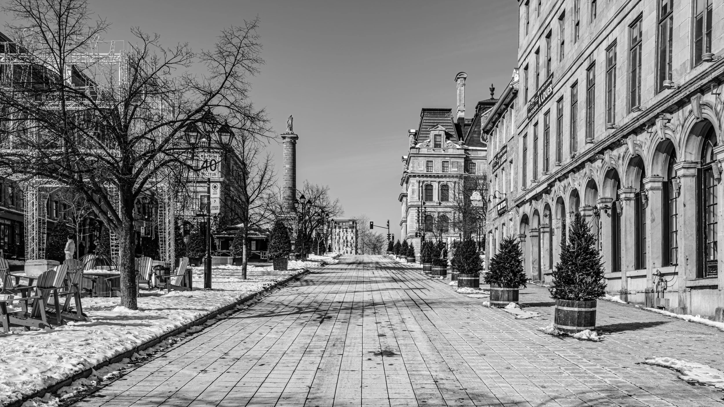 A black and white photo of a city street with historic buildings on a winter day, with snow on the ground, bare trees, and Christmas trees in planters.