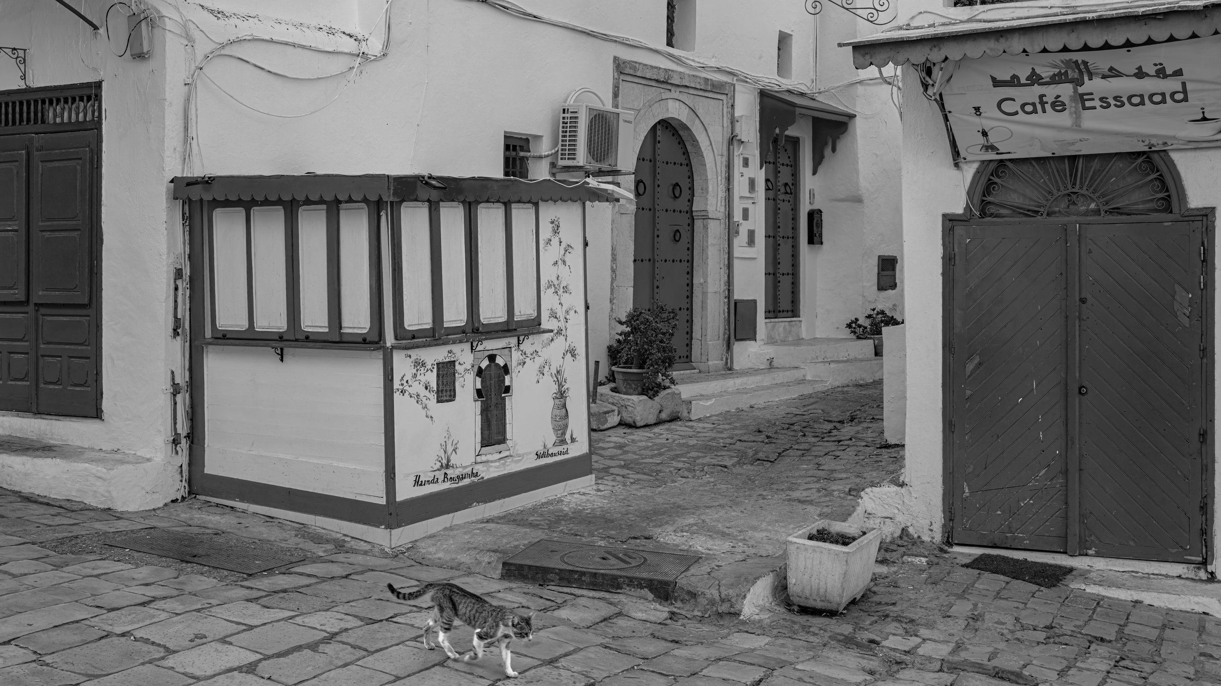 Black and white photo of a street scene featuring a building entrance with a wooden door, an air conditioning unit, a canopy with Arabic script and the words 'Café Essad', a small useful stand with decorative artwork, and a cat walking on the cobbles