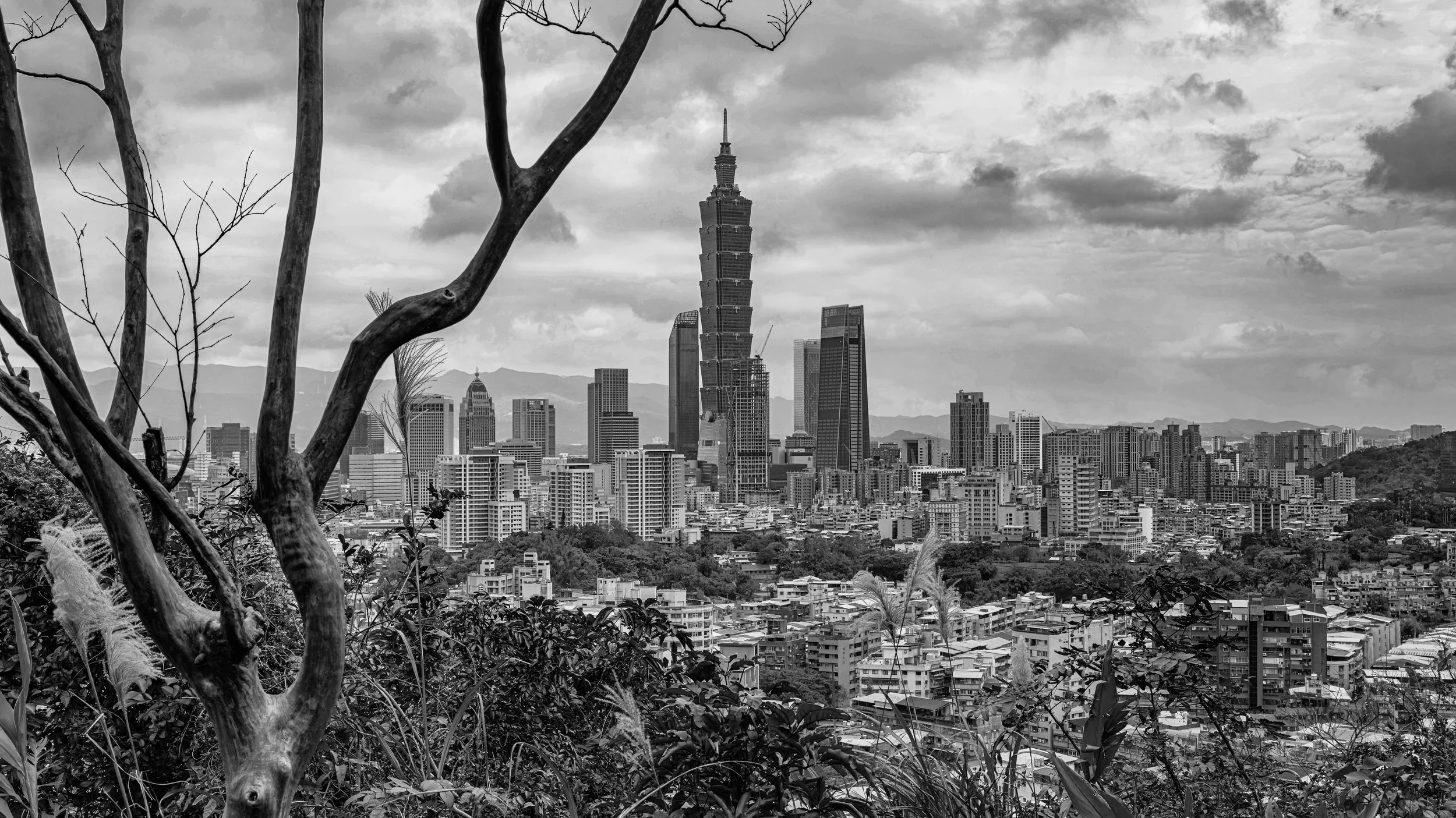 Black and white photo of Taipei skyline with Taipei 101 skyscraper, trees in the foreground, cloudy sky.