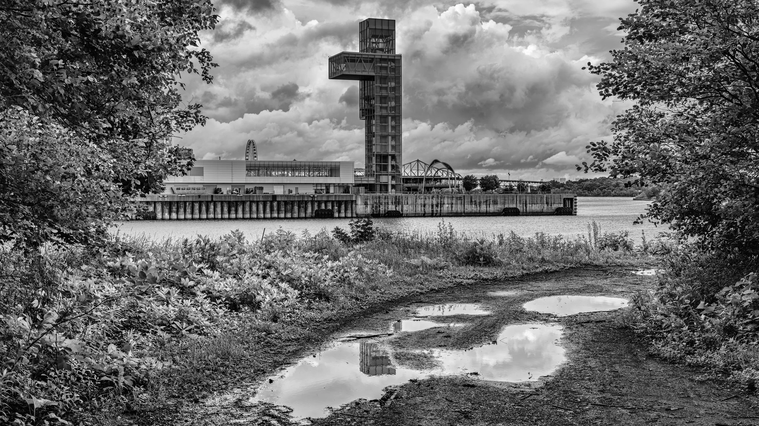 Black and white photo of a waterfront scene with modern buildings, including a tall, glass structure, and a ferris wheel visible in the background. Trees frame the foreground, and there are puddles on the ground reflecting the sky and buildings.