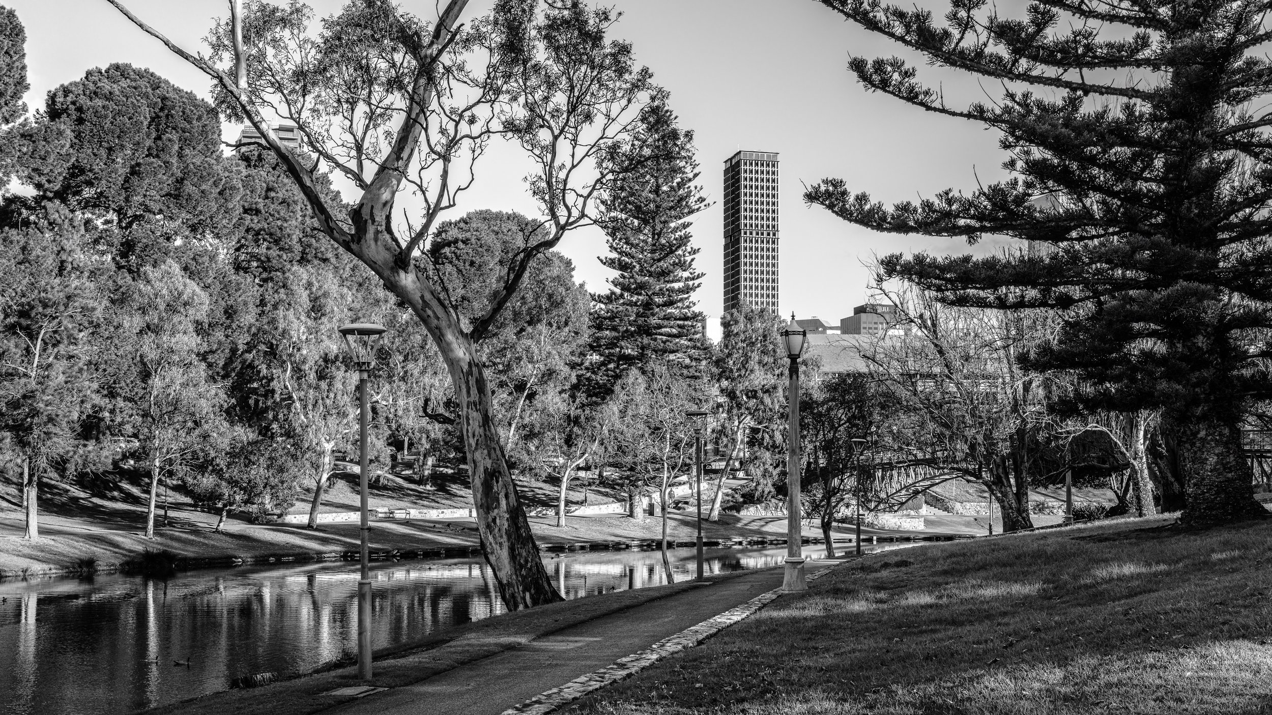 Black and white photo of a city park with trees, lamps, a pond, and a tall building in the background. Adelaide, Australia.