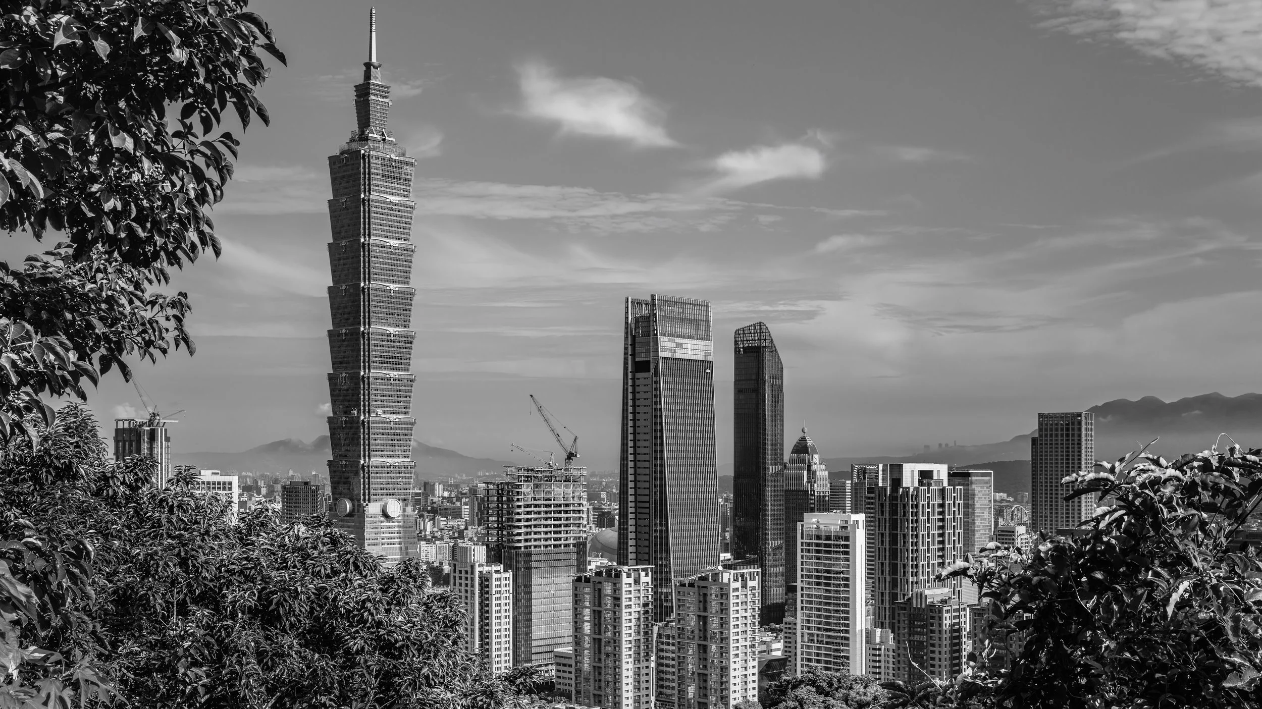 Black and white photo of a city skyline with tall skyscrapers, including the Taipei 101 building, viewed through trees in the foreground.