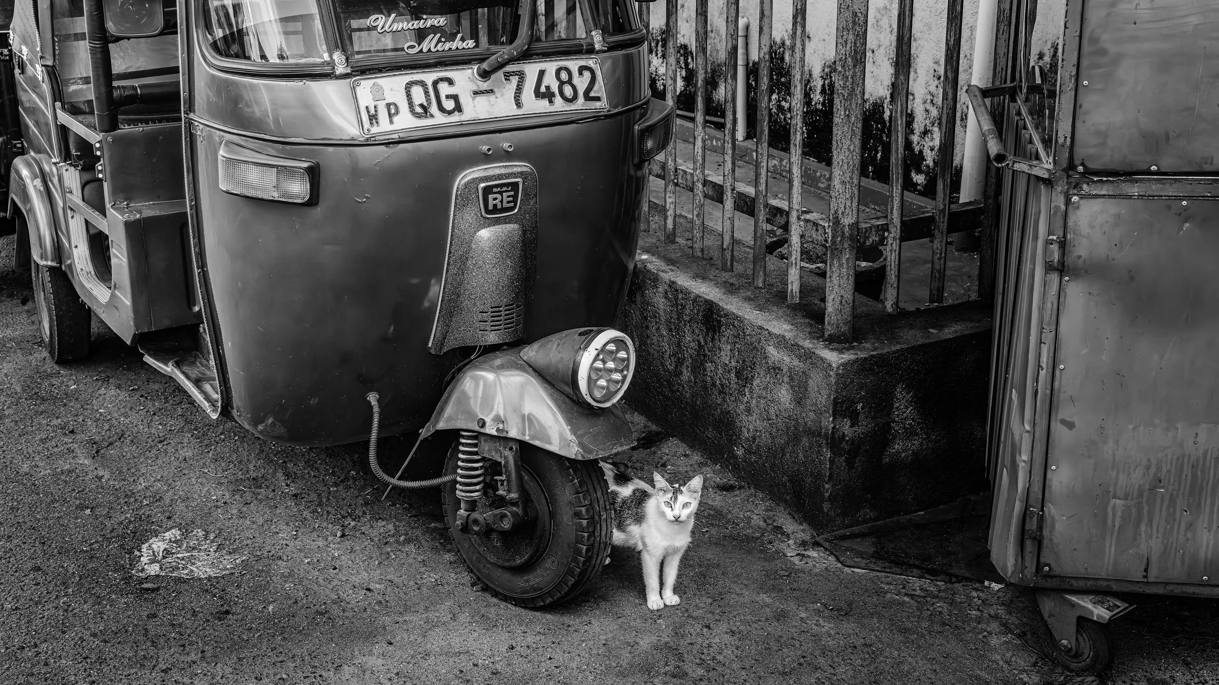 A black and white photo of a three-wheeled auto rickshaw parked on a rough street. A cat with white and black fur stands in front of the scooter, looking towards the camera. The background includes a metal fence and a large container.