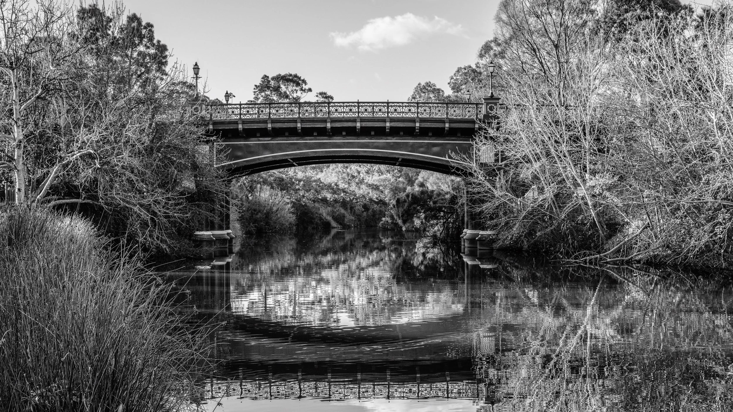 Black and white photograph of a bridge over a calm river, surrounded by leafless trees and tall grass. Adelaide, Australia.