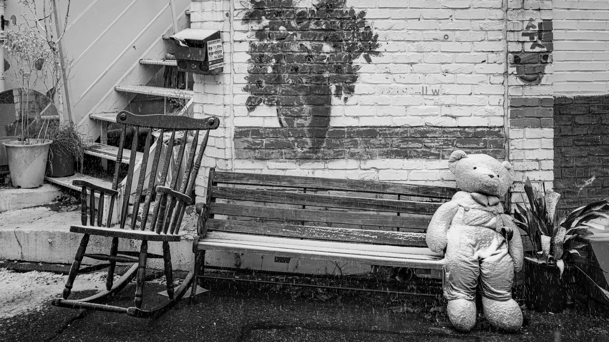 Black and white photo of a small outdoor seating area with a wooden chair, a bench, and a teddy bear stuffed animal leaning against a flower pot. There is a brick wall with a mural of a woman's face and some graffiti. A small potted plant is on the l