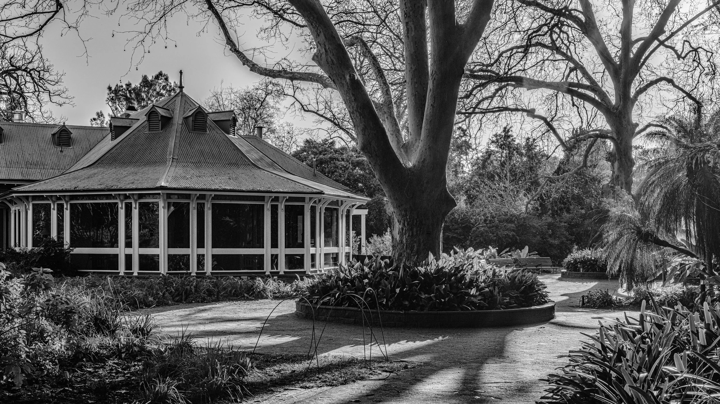 Black and white photo of a garden with large trees, a house with a sloped roof, and a greenhouse or gazebo structure. Adelaide, Australia.