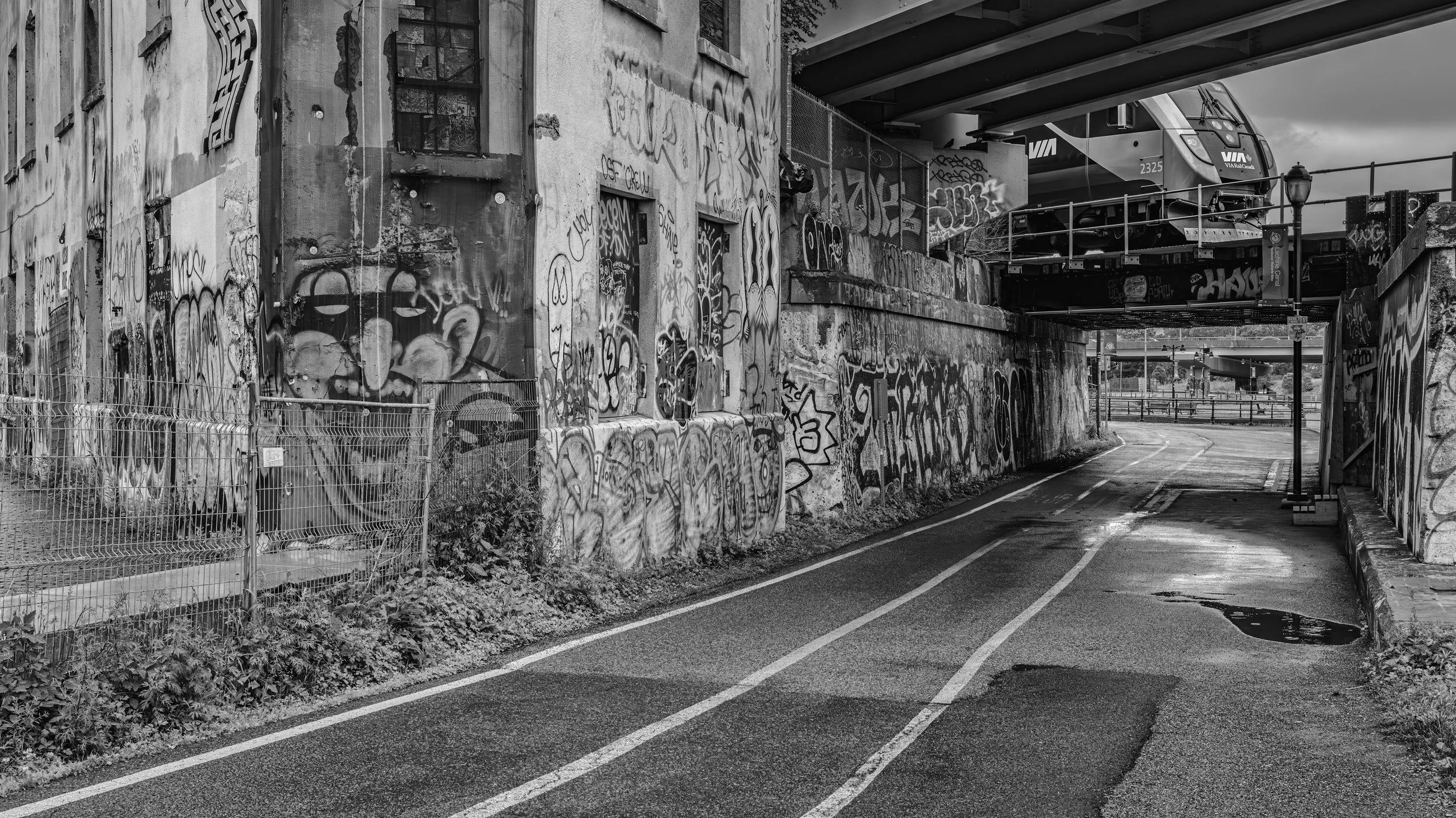 A black and white photo of an urban alleyway under an overpass, covered in graffiti on the walls and fences, with a train passing overhead.