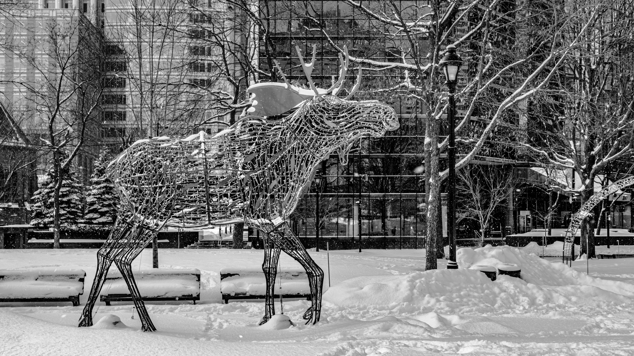 Snow-covered city park with a wireframe reindeer and owl decoration, leafless trees, benches, and snow-covered ground. Buildings and a streetlamp are visible in the background.