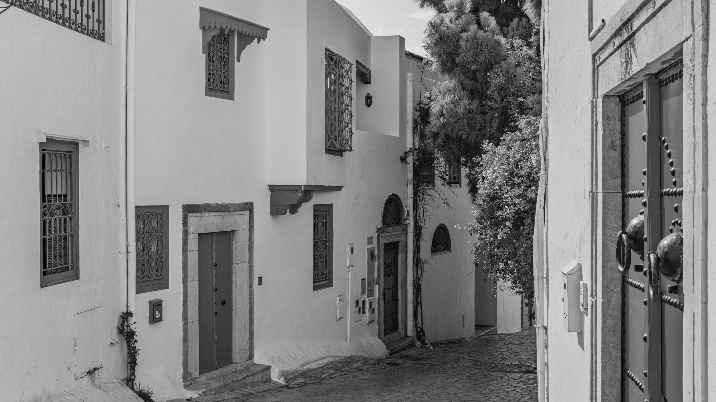 A narrow cobblestone street with white buildings featuring barred windows and wooden doorways, some with decorative trims, and lush trees in the background.