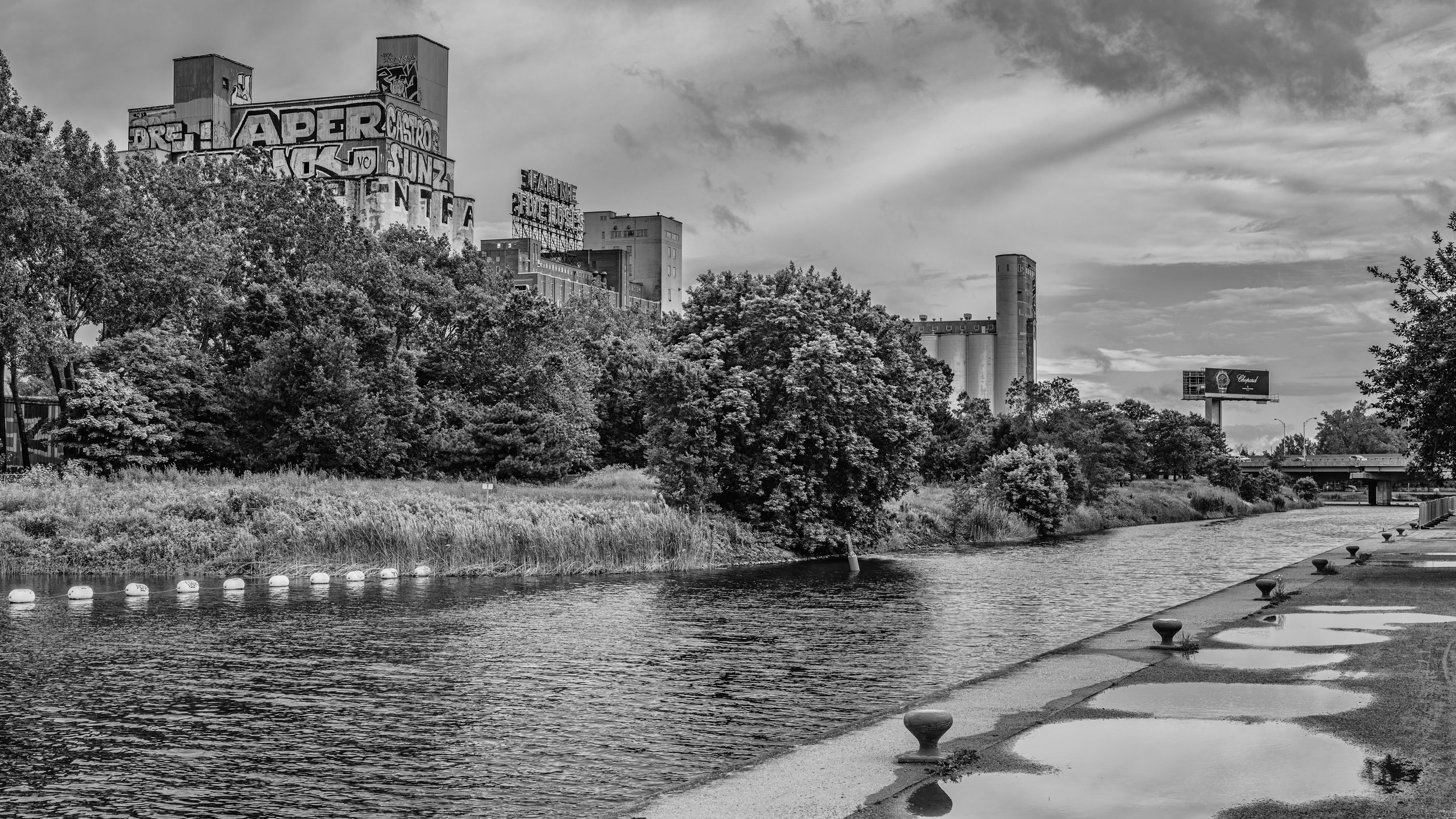 Black and white photo of a city skyline opposite a river with trees in the foreground. Buildings in the background have large advertisements and signs, including 