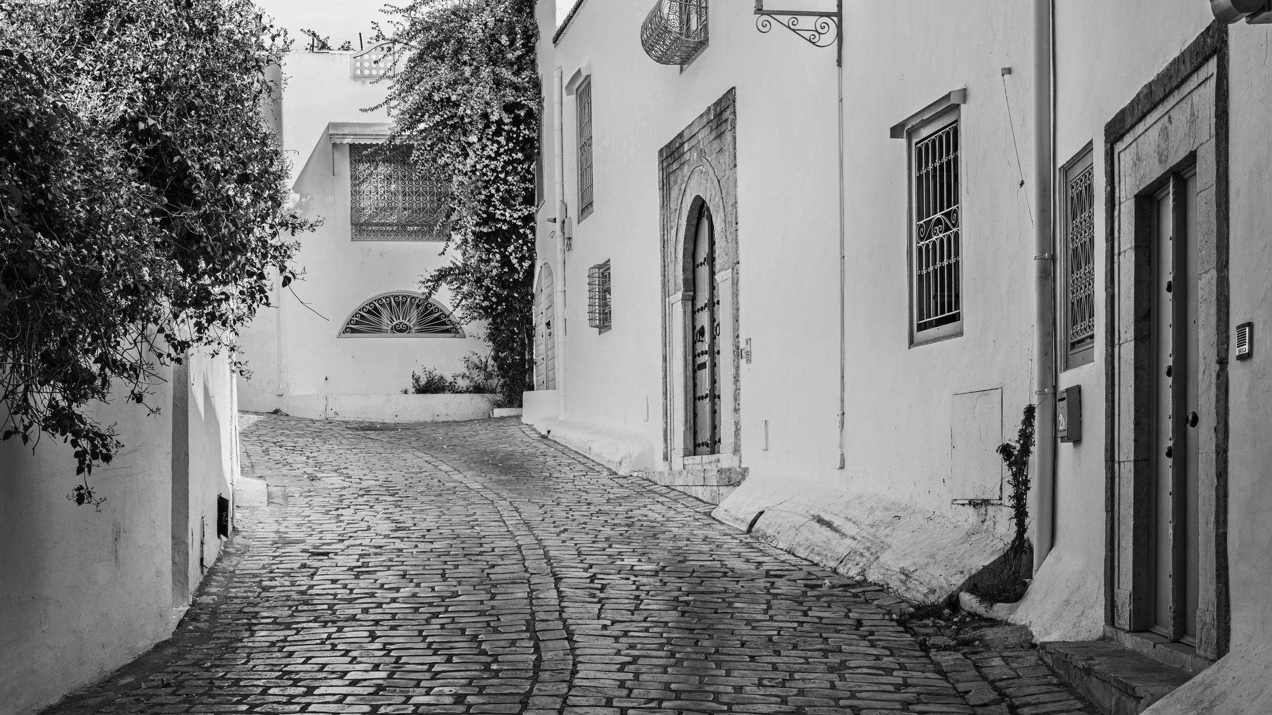 A narrow cobblestone street lined with white buildings, some with decorative iron window grills, and a flowering bush overhanging on the left side. The street curves gently to the right in the background.