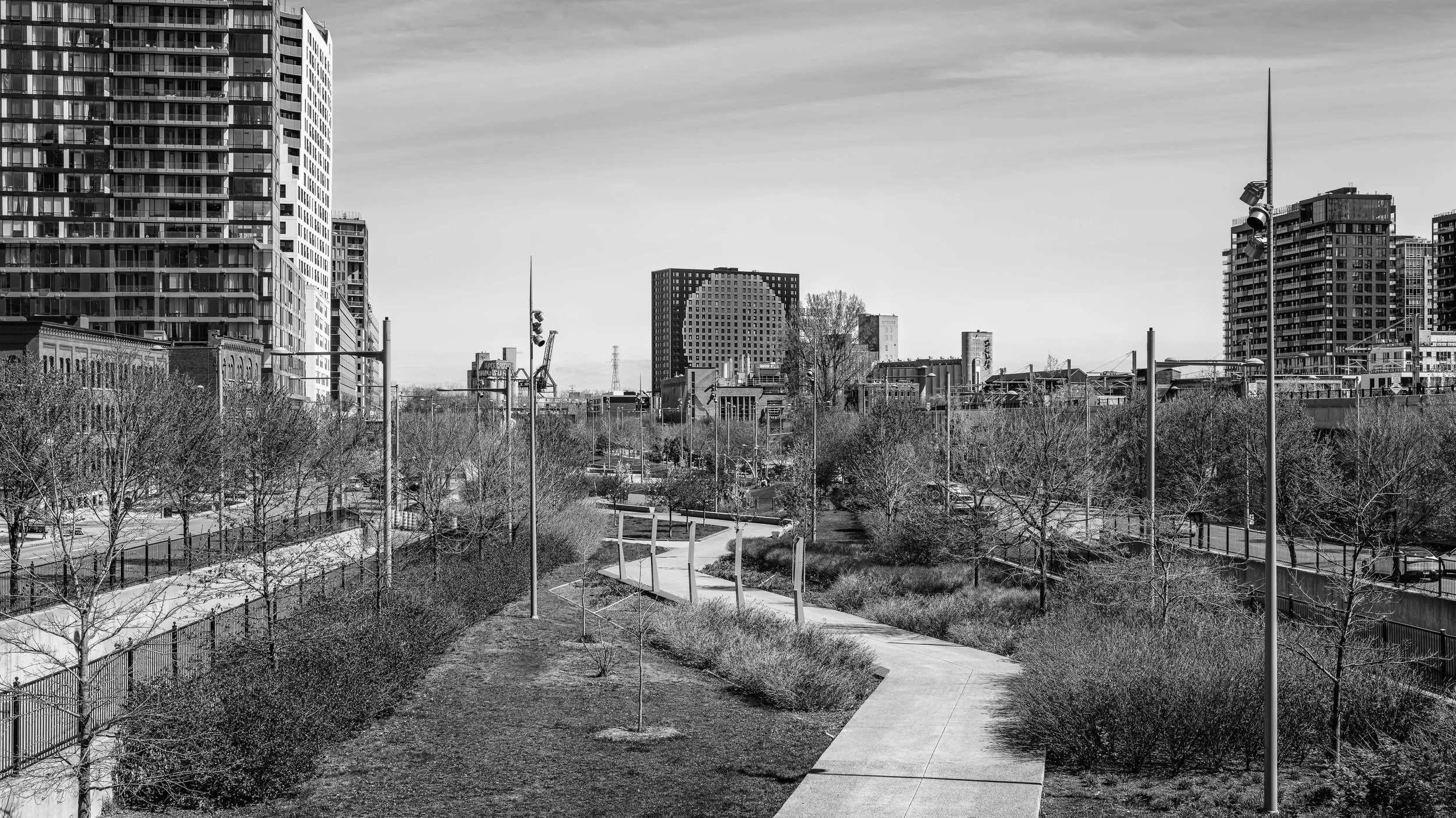 A black-and-white image of an urban park with pathways, leafless trees, and a background of tall modern buildings and skyscrapers.