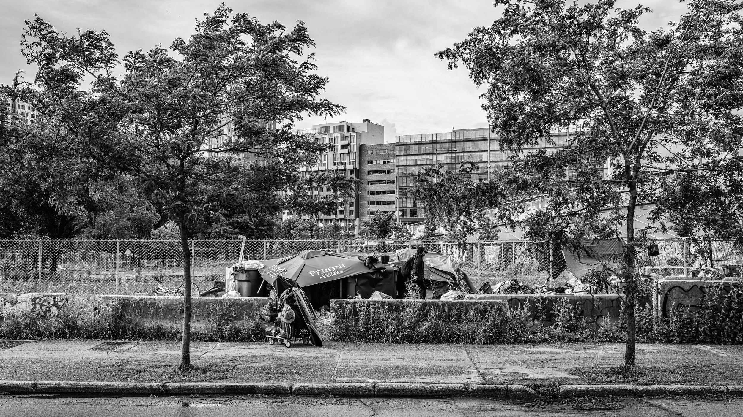 Urban scene in black and white with trees, high-rise buildings, a chain-link fence, and a homeless encampment with tents, shopping carts, and a person walking by.
