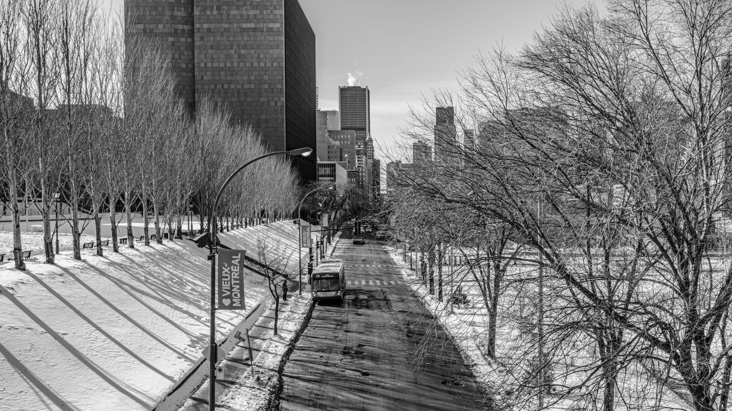 A black and white photo of a winter city scene with snow-covered ground, leafless trees lining a street, modern tall buildings in the background, a bus, and street signs.