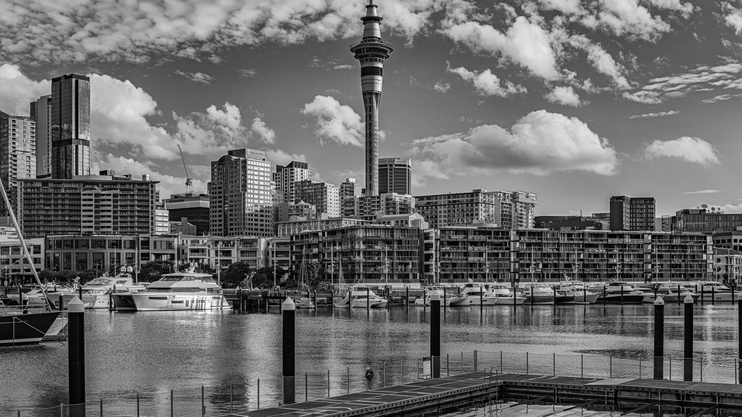 Black and white photo of a city skyline with a tall tower, high-rise buildings, and boats docked at a marina.