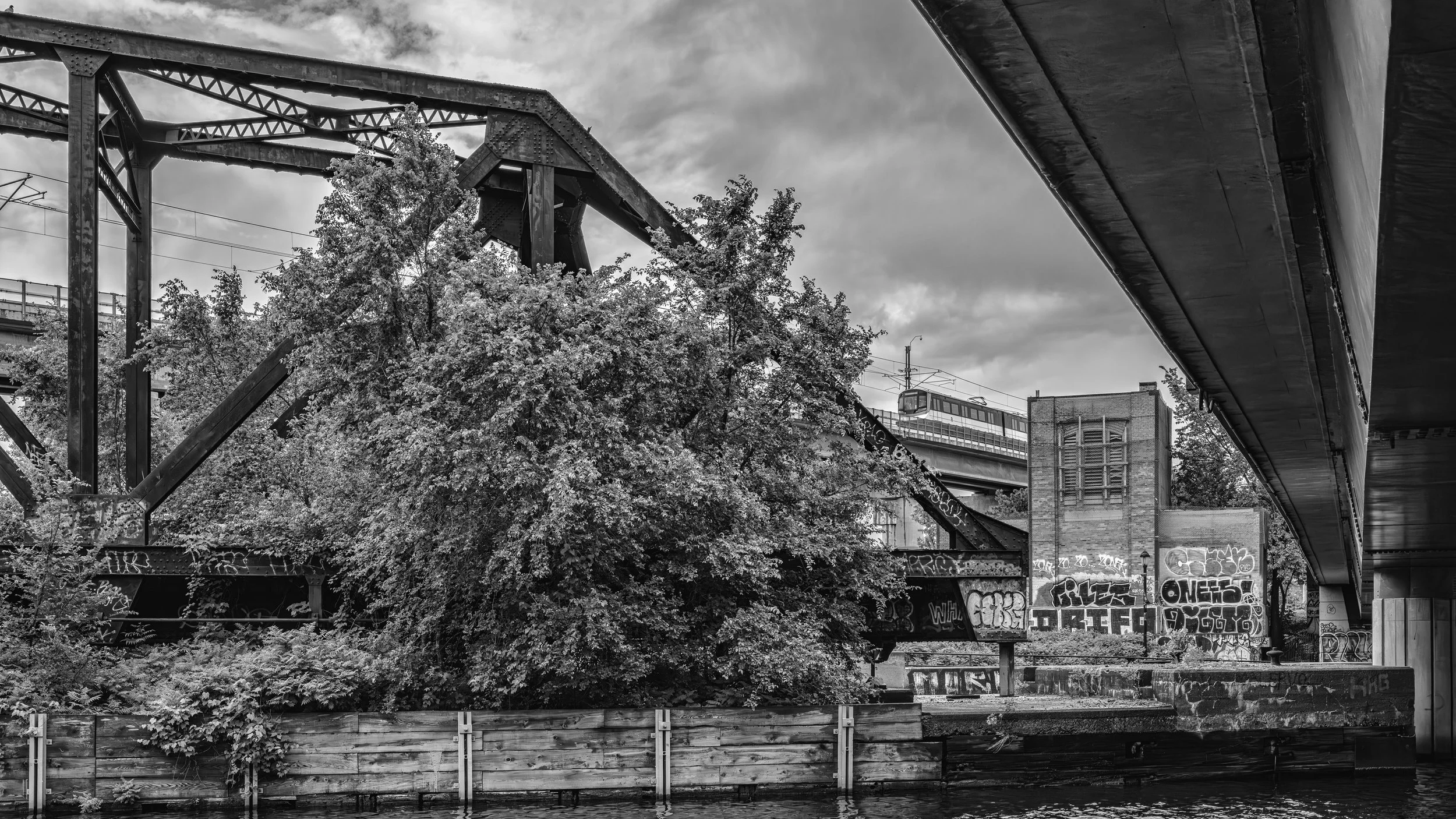 Black and white photo of an urban scene, featuring an old steel railway bridge with rust and graffiti, a modern streetcar on elevated tracks, overgrown trees, and a brick building in the background under a cloudy sky.