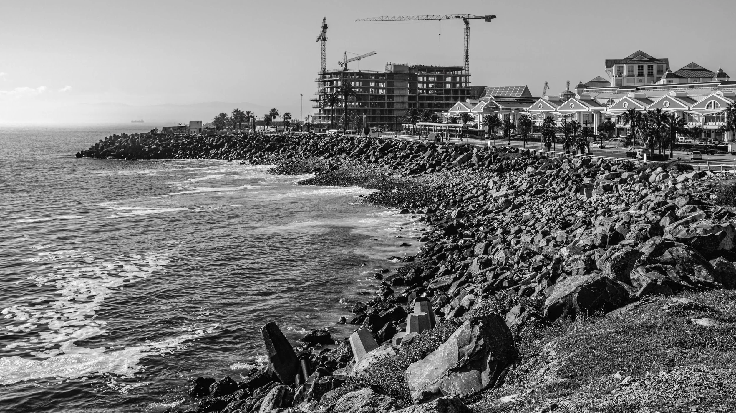 A black and white photograph of a rocky shoreline with the ocean in the foreground, a breakwater, and construction cranes on a building under construction along the coast with palm trees and buildings in the background. Cape Town, South Africa.