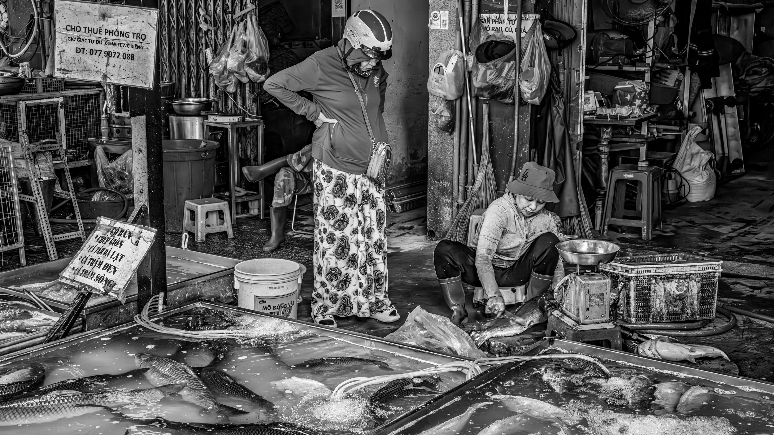 Two women working in a fish market, one standing and the other sitting, with various fish and market tools around them.