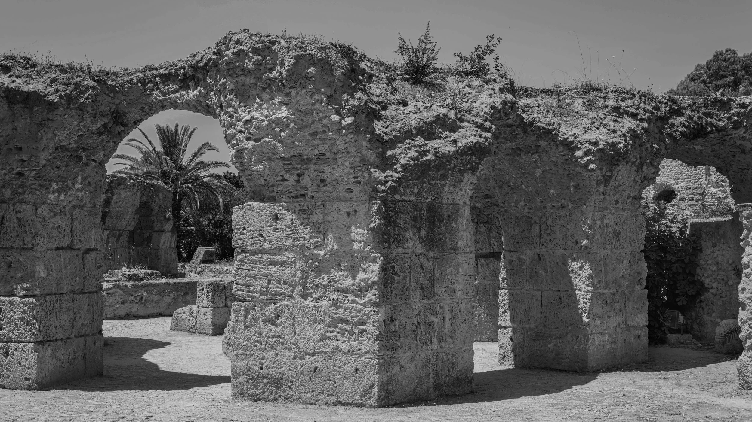 Black and white photo of ancient stone ruins with arches and columns, with trees and palm tree visible in the background.