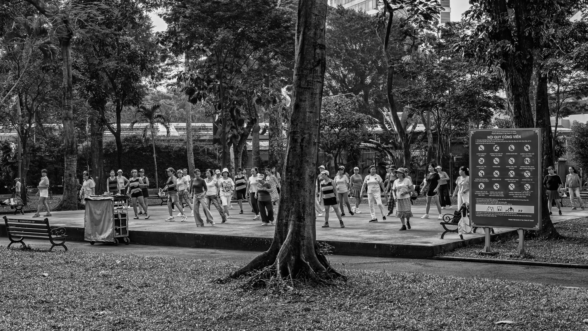 A group of women exercising in a park, with a signboard and trees in the background, in black and white.