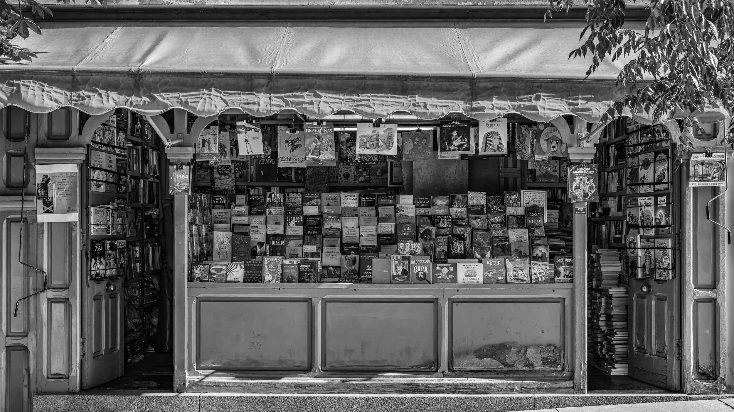 Black and white image of a bookstore kiosk filled with books and magazines, with a canopy on top and some foliage in the upper corners.
