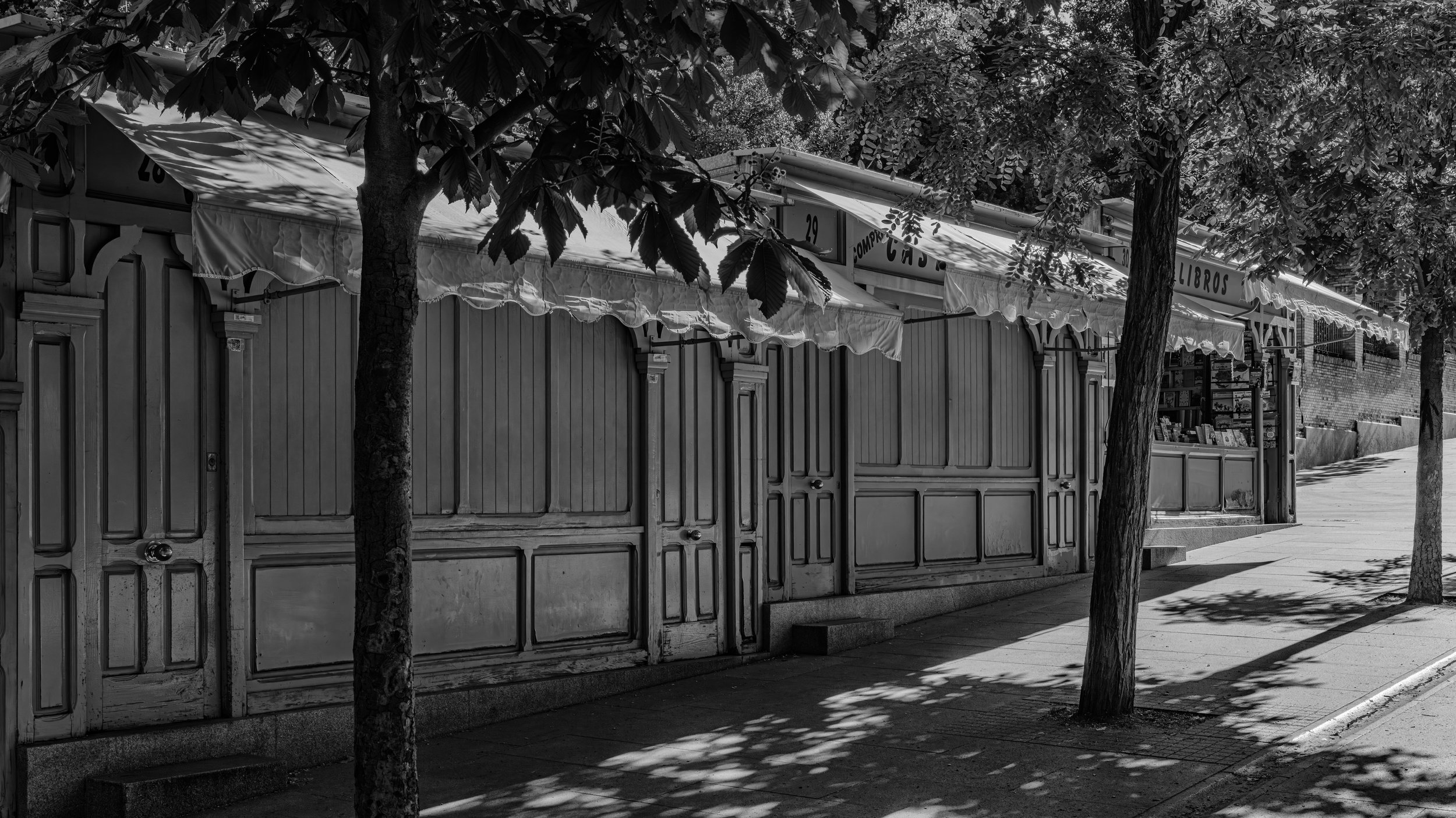 Black and white photo of closed storefronts with wooden doors and awnings, lined with trees casting shadows on the sidewalk.