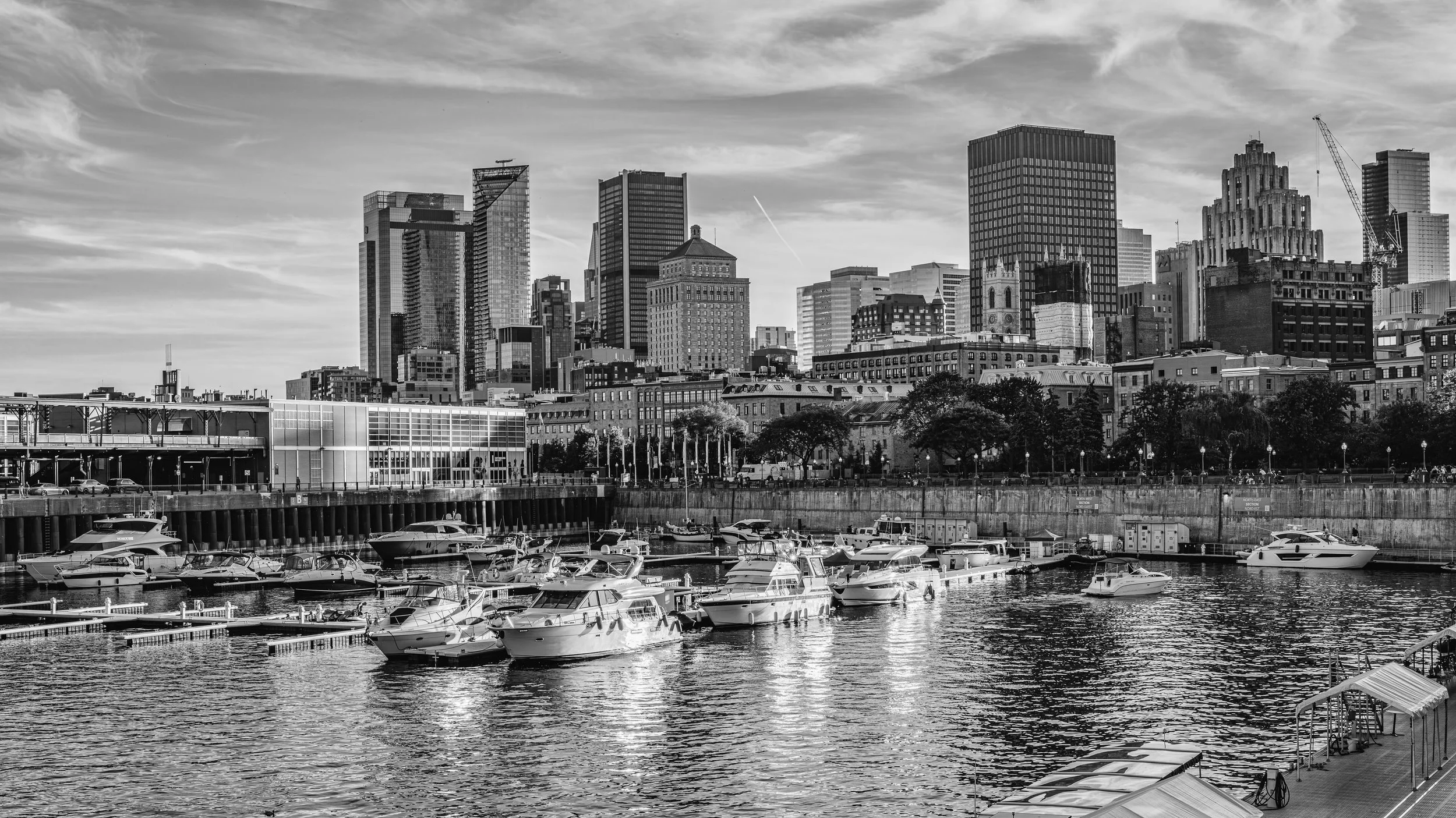 A black and white photo of a city skyline with high-rise buildings and skyscrapers, a waterfront with boats docked, and trees along the shoreline.