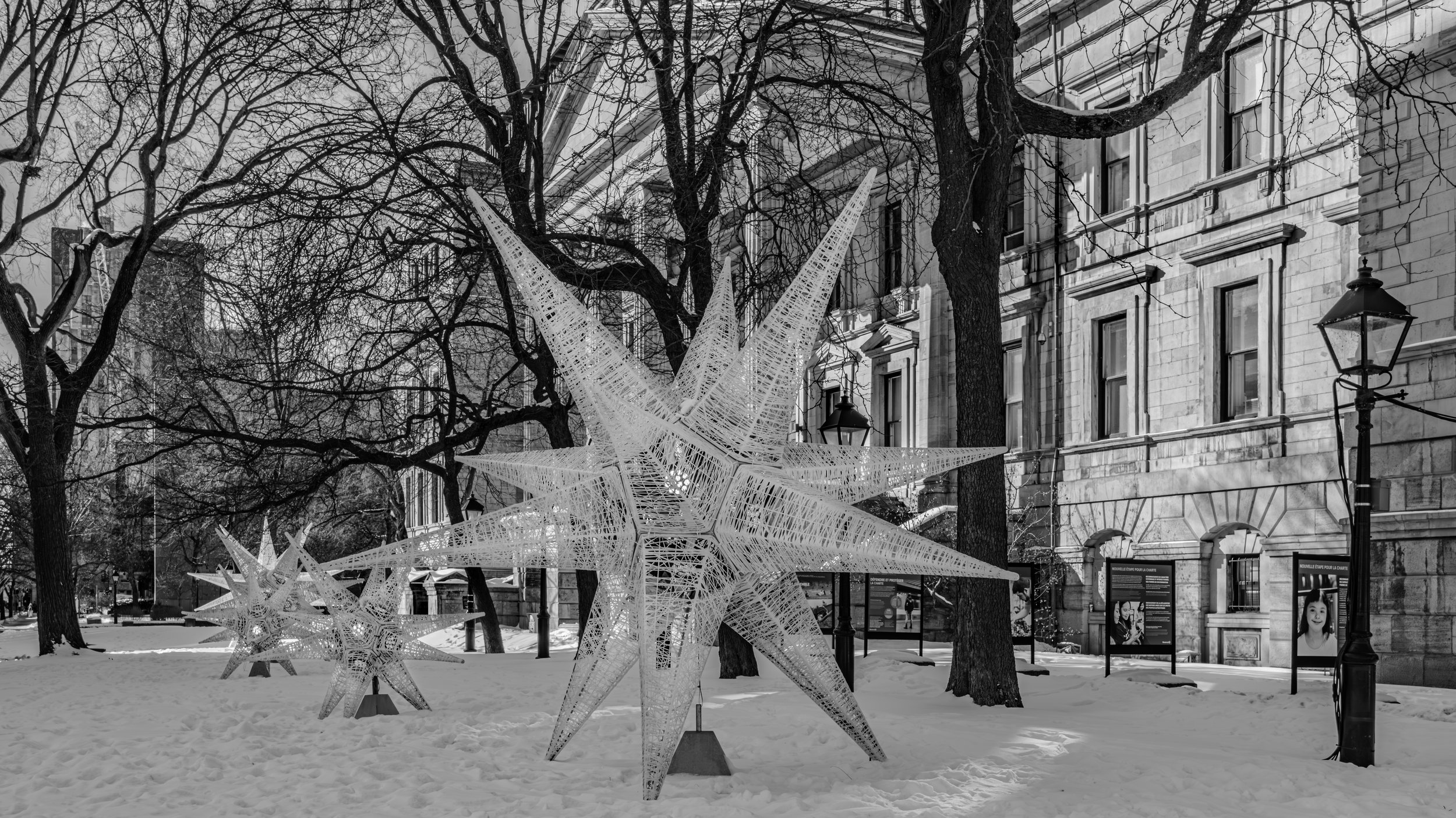 Black and white photo of decorative star-shaped holiday lights outdoors, trees with bare branches, historic building with large windows, and street lamps.