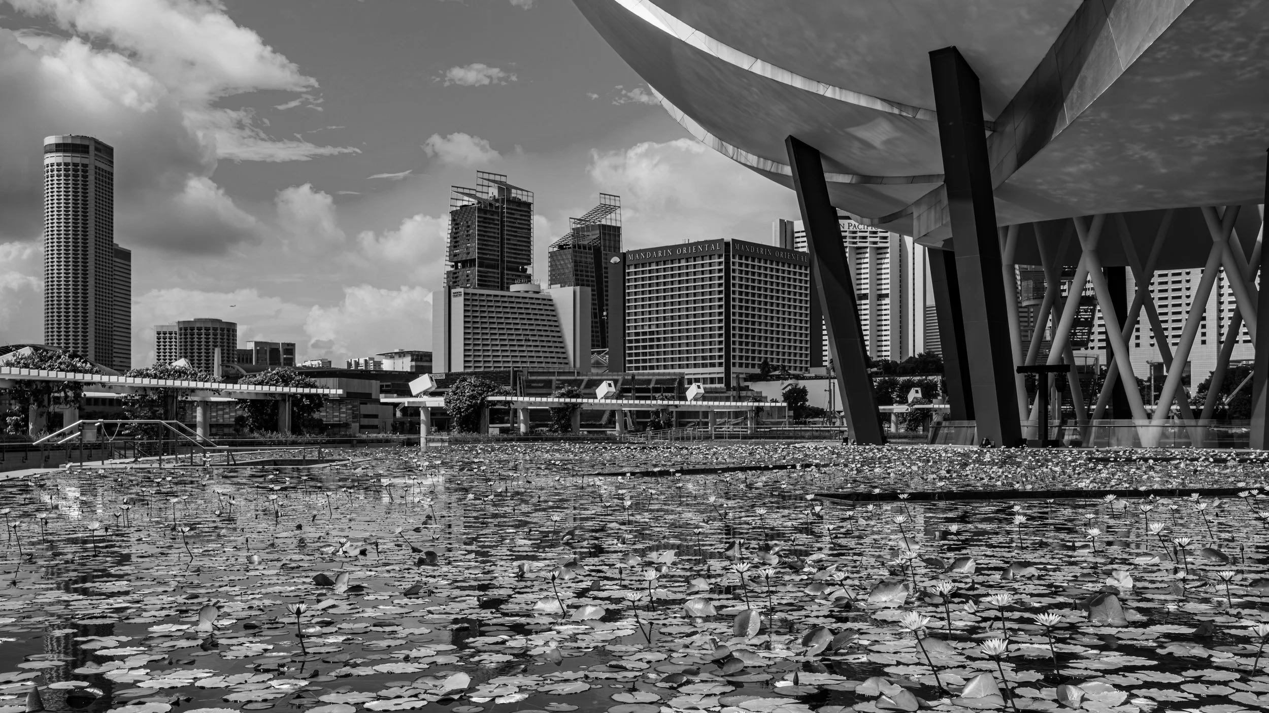 A cityscape featuring tall modern skyscrapers and buildings, with a foreground of a water body covered in lily pads and flowers, under a partly cloudy sky. The image is in black and white.