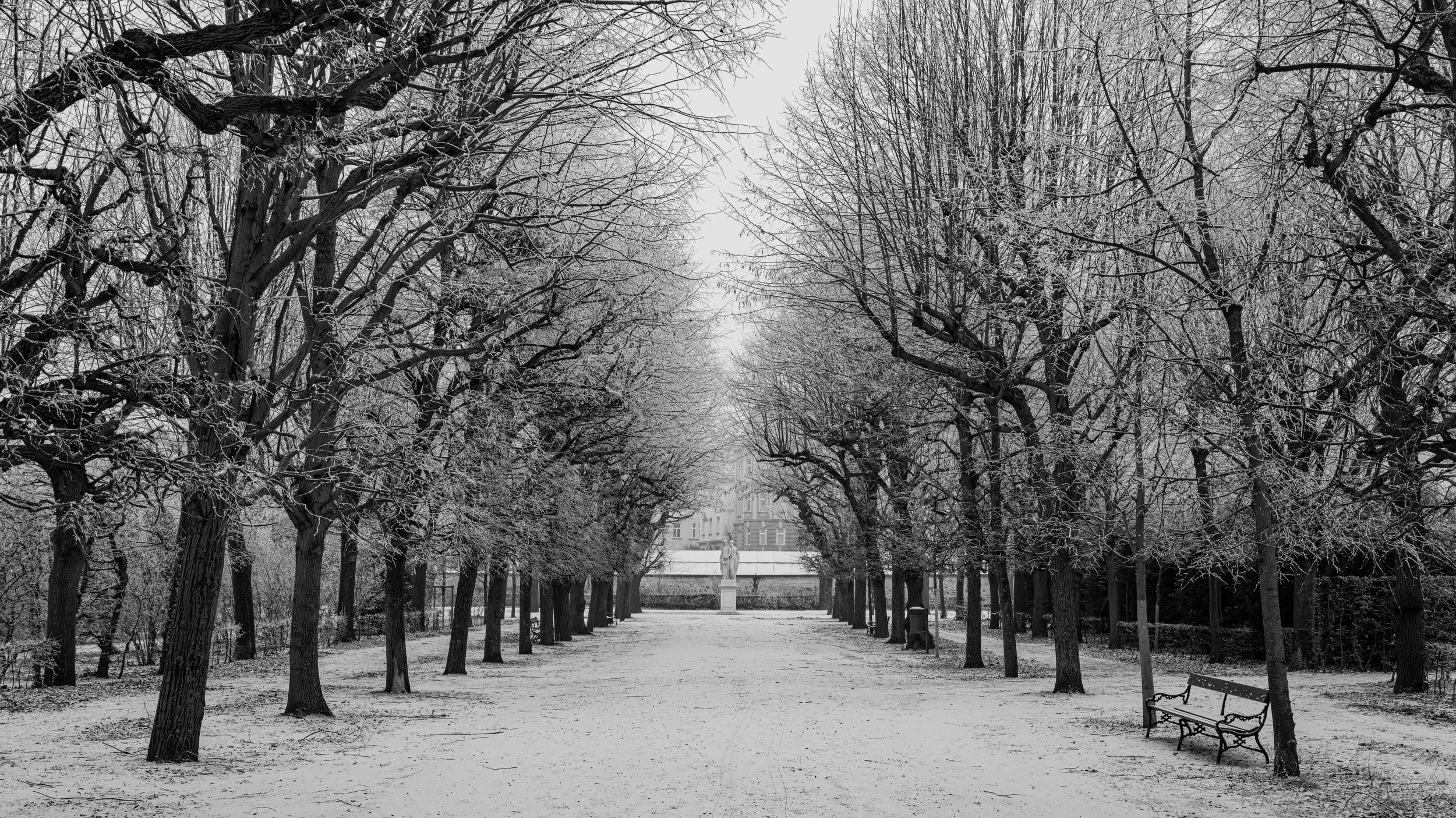 A winter scene in a park with snow-covered trees lining a pathway. A statue is visible in the background, with benches along the path.