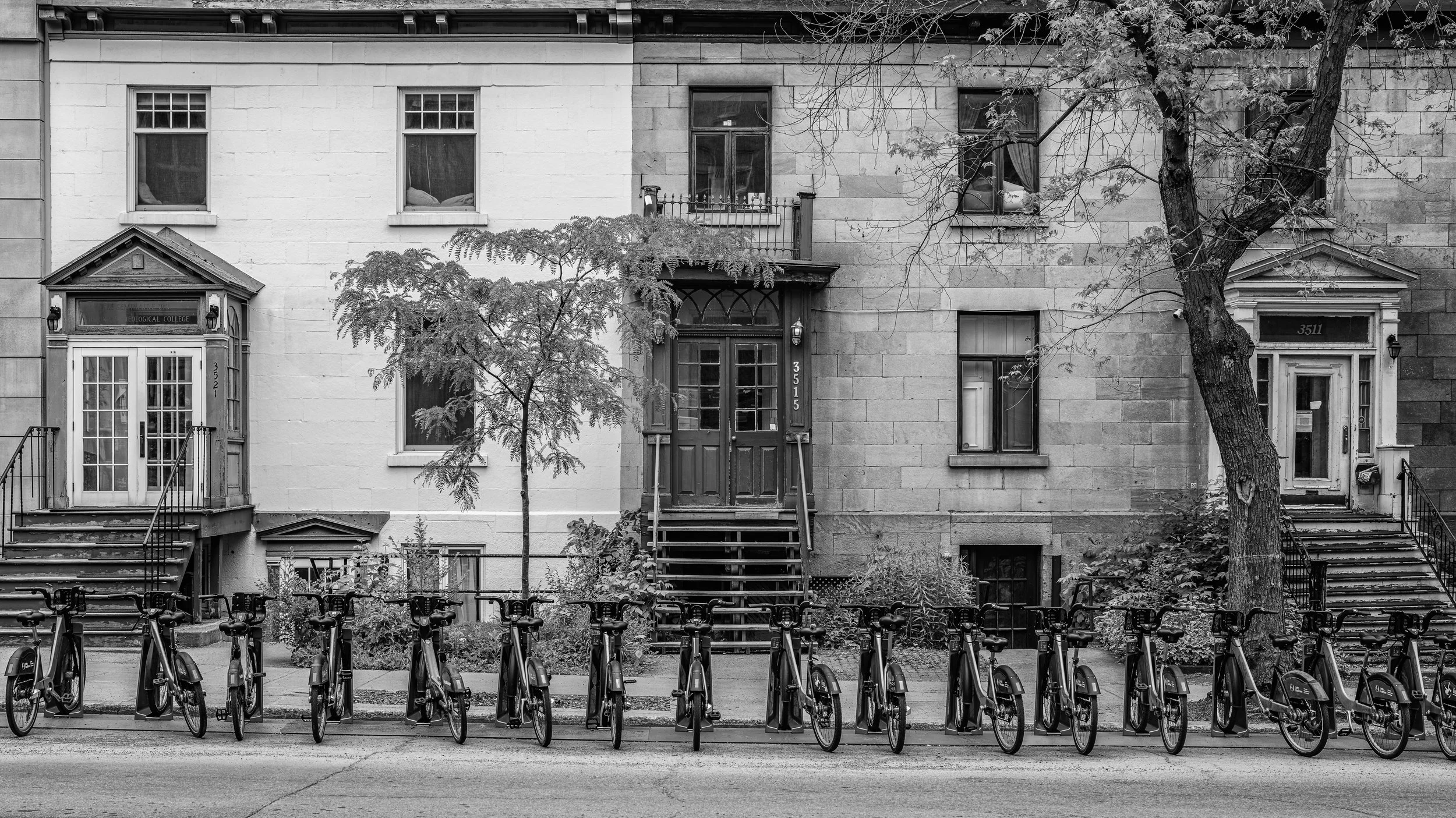 A row of parked bikes in front of a building with trees and stairs. The building has multiple windows and doors, with some trees partially blocking the view.