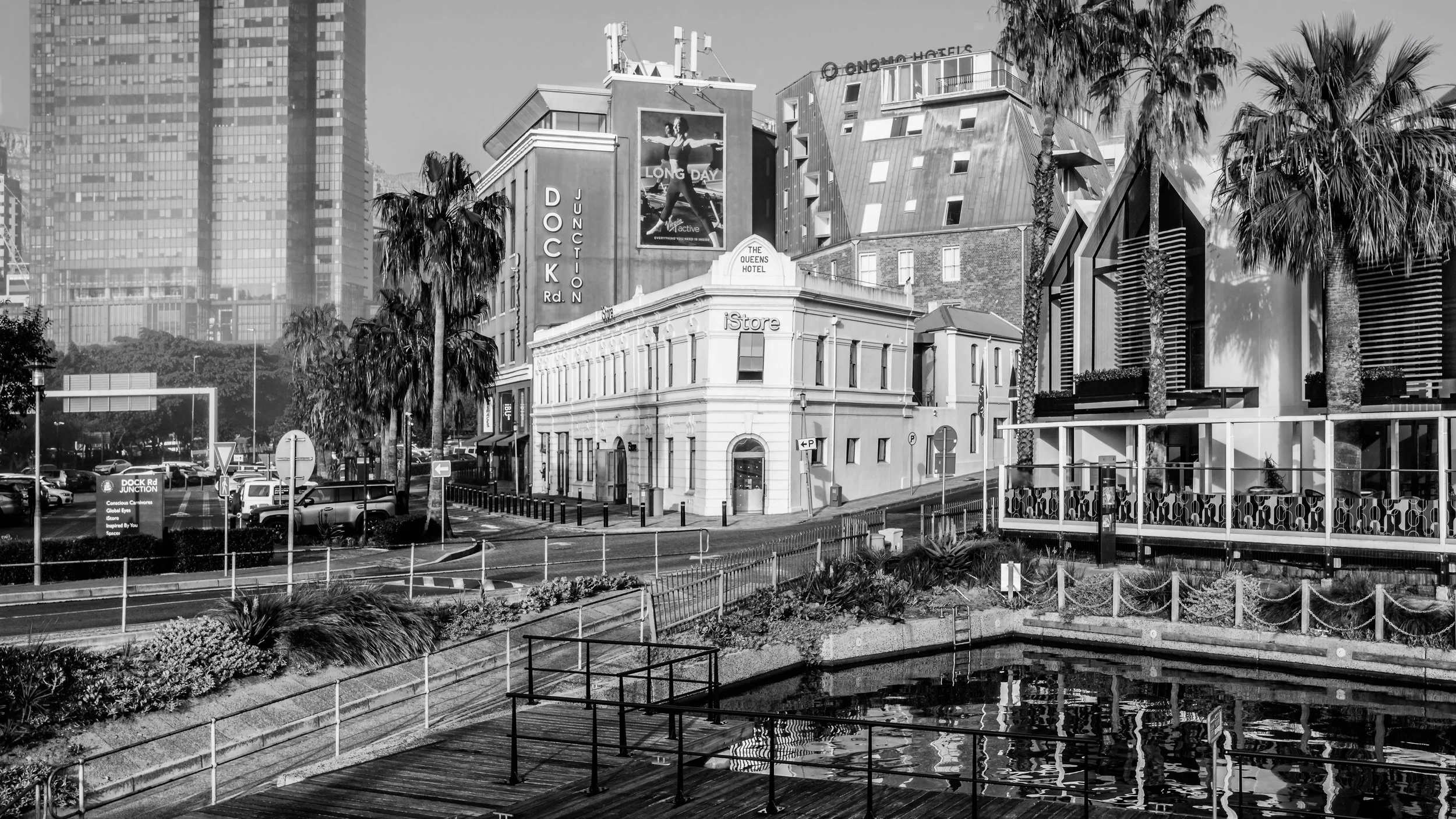 Black and white photo of an urban scene with modern buildings, palm trees, parked cars, and a small pond with a railing in the foreground. Cape Town, South Africa.
