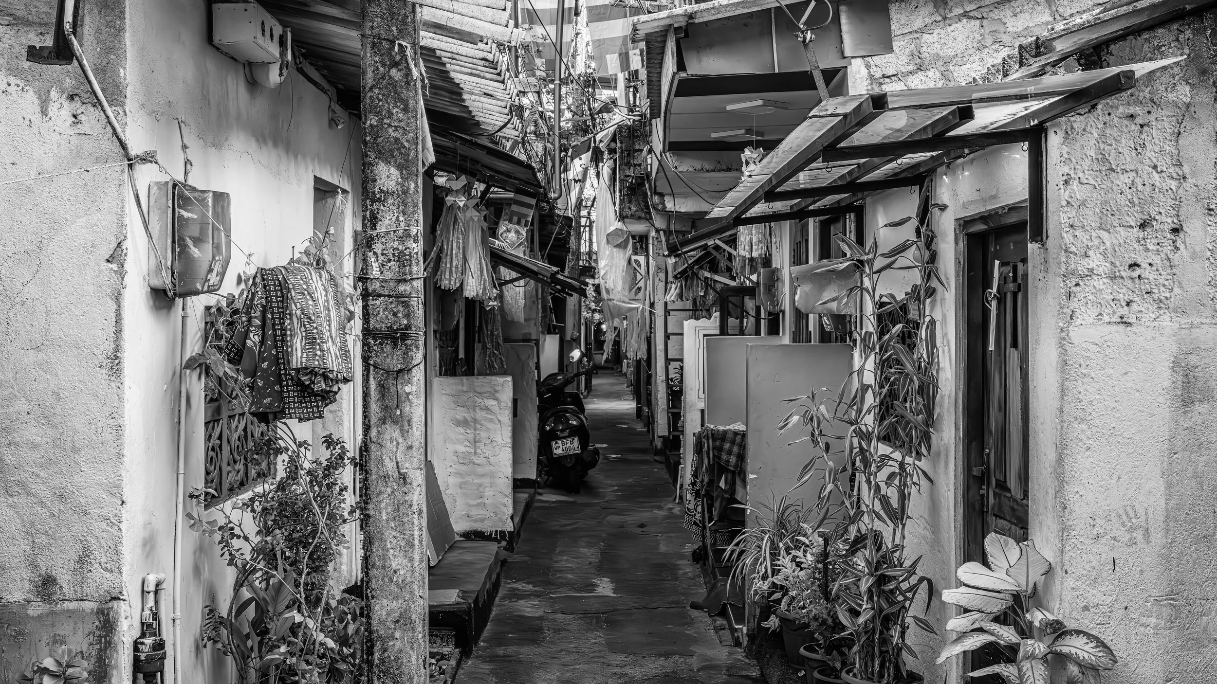 A narrow alleyway between two buildings with laundry hanging and plants outside, in black and white.