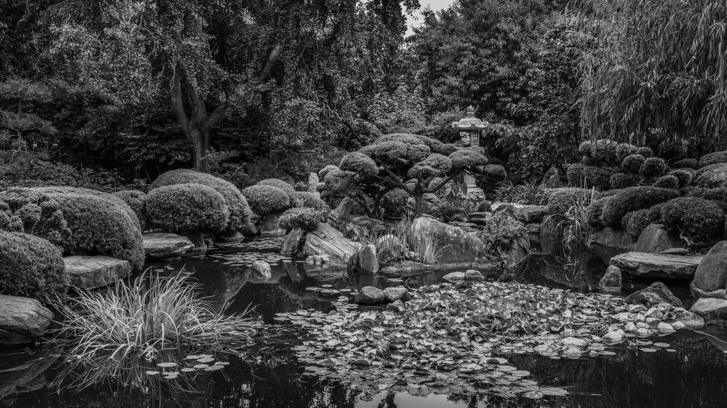 A black and white photo of a Japanese garden with trimmed bushes, rocks, a small pond, and a traditional stone lantern among trees.