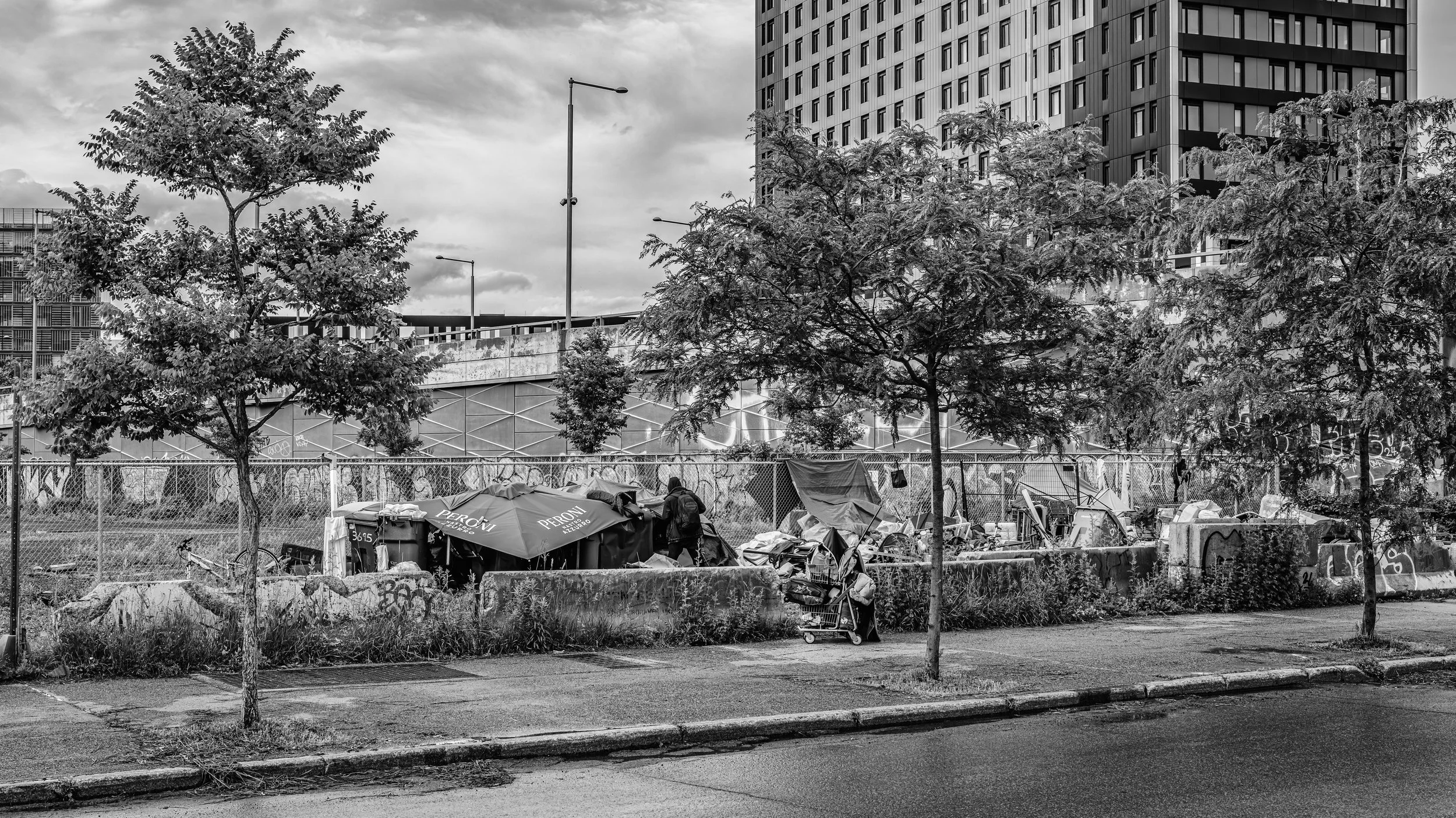 A black and white photo of an urban scene with trees, a fence, and homeless tents and belongings in the foreground. There is a modern high-rise building behind the trees.