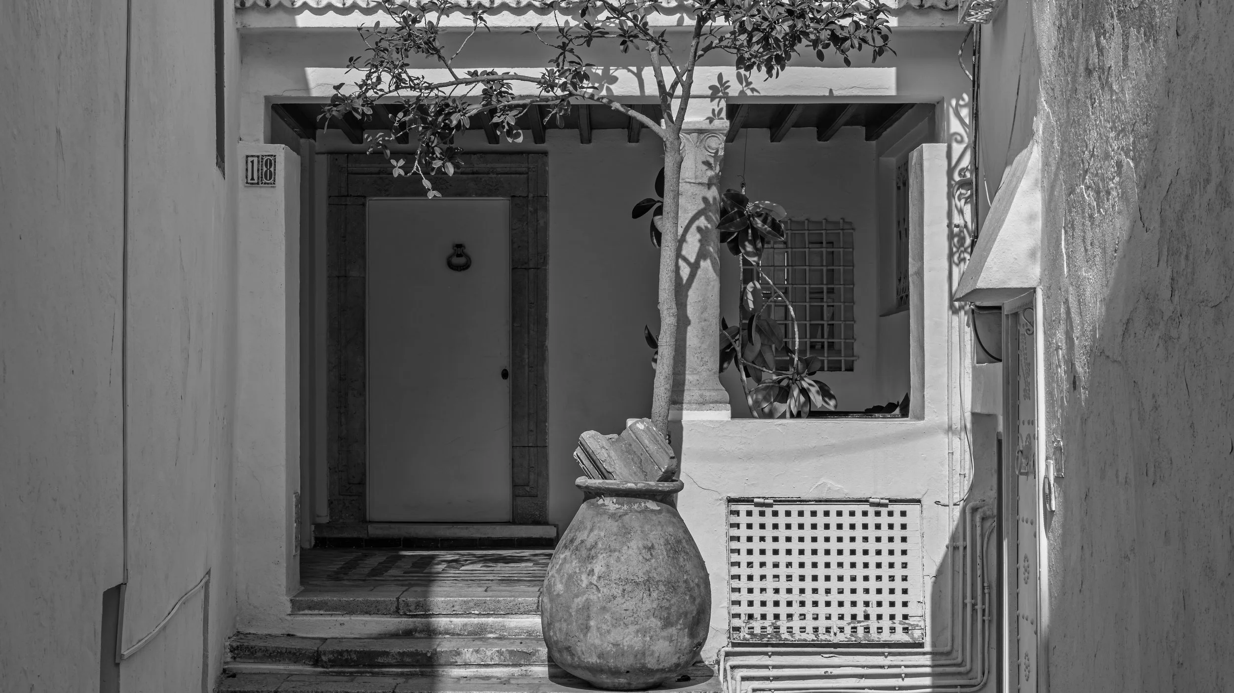 The photo shows a small front porch area of a house with a door in the center, a tree in a large pot in front, and a window with security bars to the right. The house number 18 is visible beside the door, and there are shadows of the tree on the wall