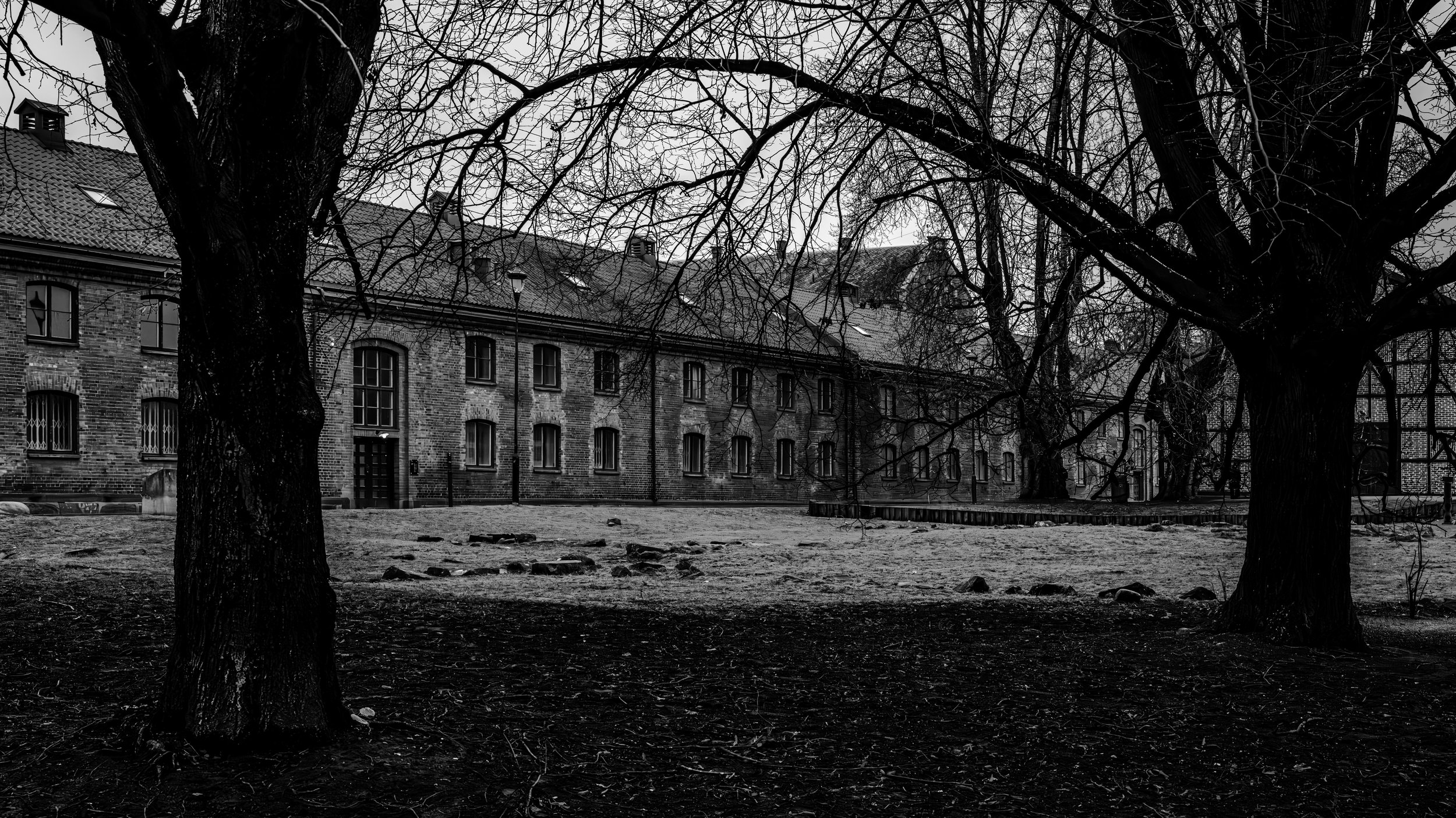 Black and white photo of two large trees in front of a brick building with multiple windows and a tiled roof, on a cloudy day.