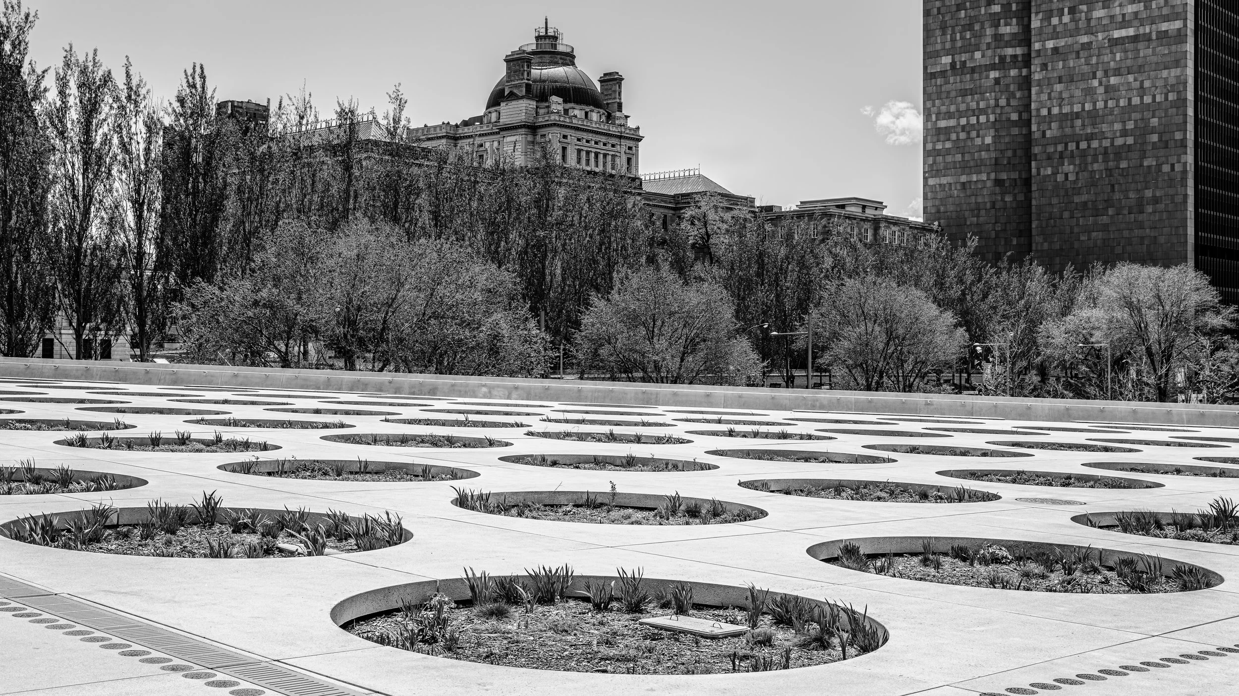 Black and white photo of a cityscape with a historic building featuring a dome, surrounded by modern skyscrapers and trees. A patterned plaza with circular planting beds is in the foreground.