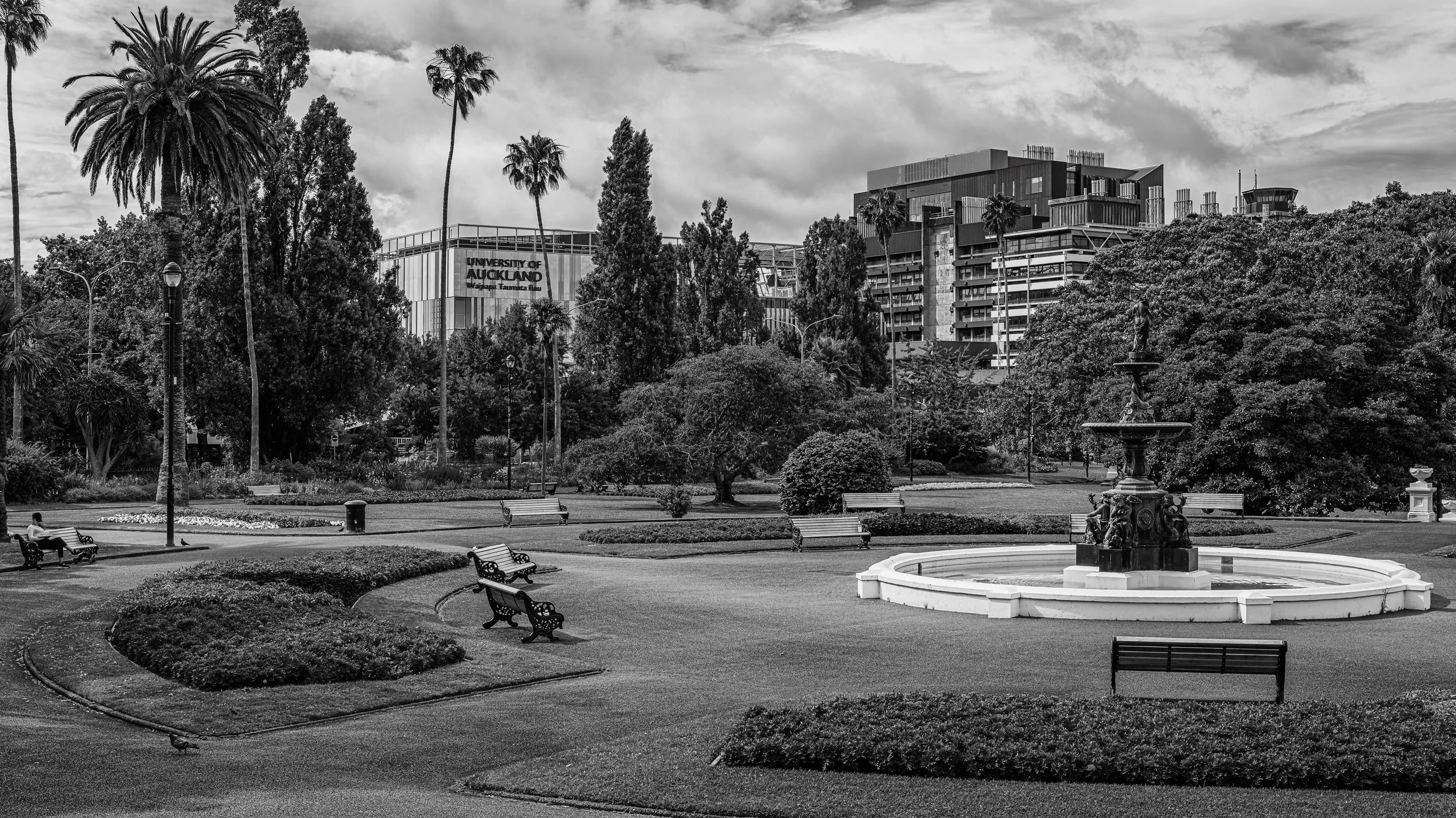 A black and white photo of a park with benches, a fountain, and trees. In the background, there are modern buildings with a sign that reads 'University of Auckland.'