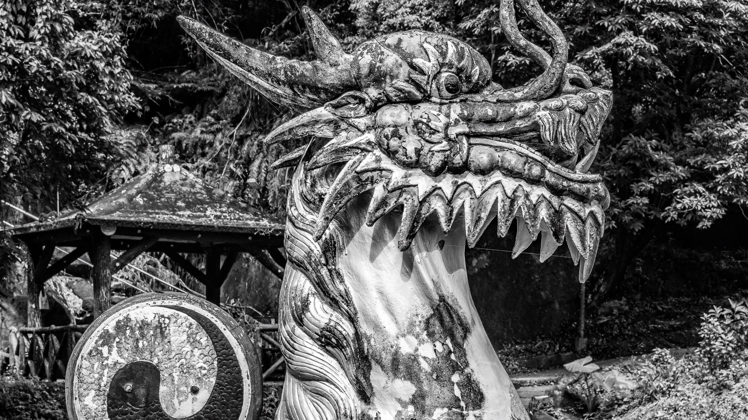 Black and white photo of a large decorative dragon head sculpture with sharp teeth, horns, and scales, set against a background of trees and a traditional pagoda-like structure.
