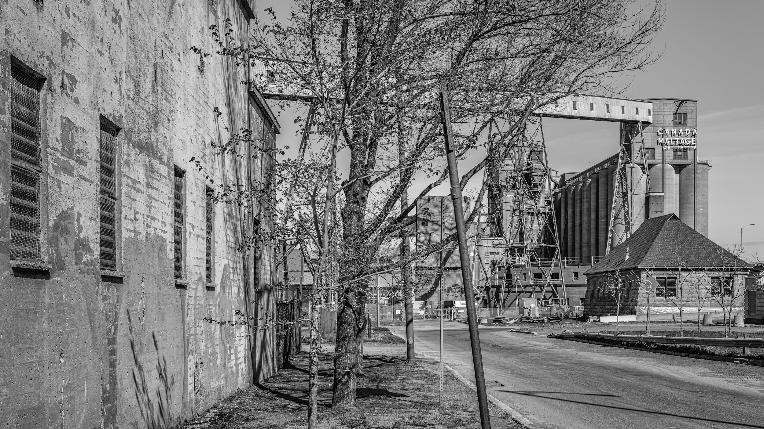 A black and white photo of an industrial area with a large building on the left with multiple windows, a leafless tree in the foreground, and a grain elevator with a skywalk in the background. There is a street with a stop sign and a few cars parked.