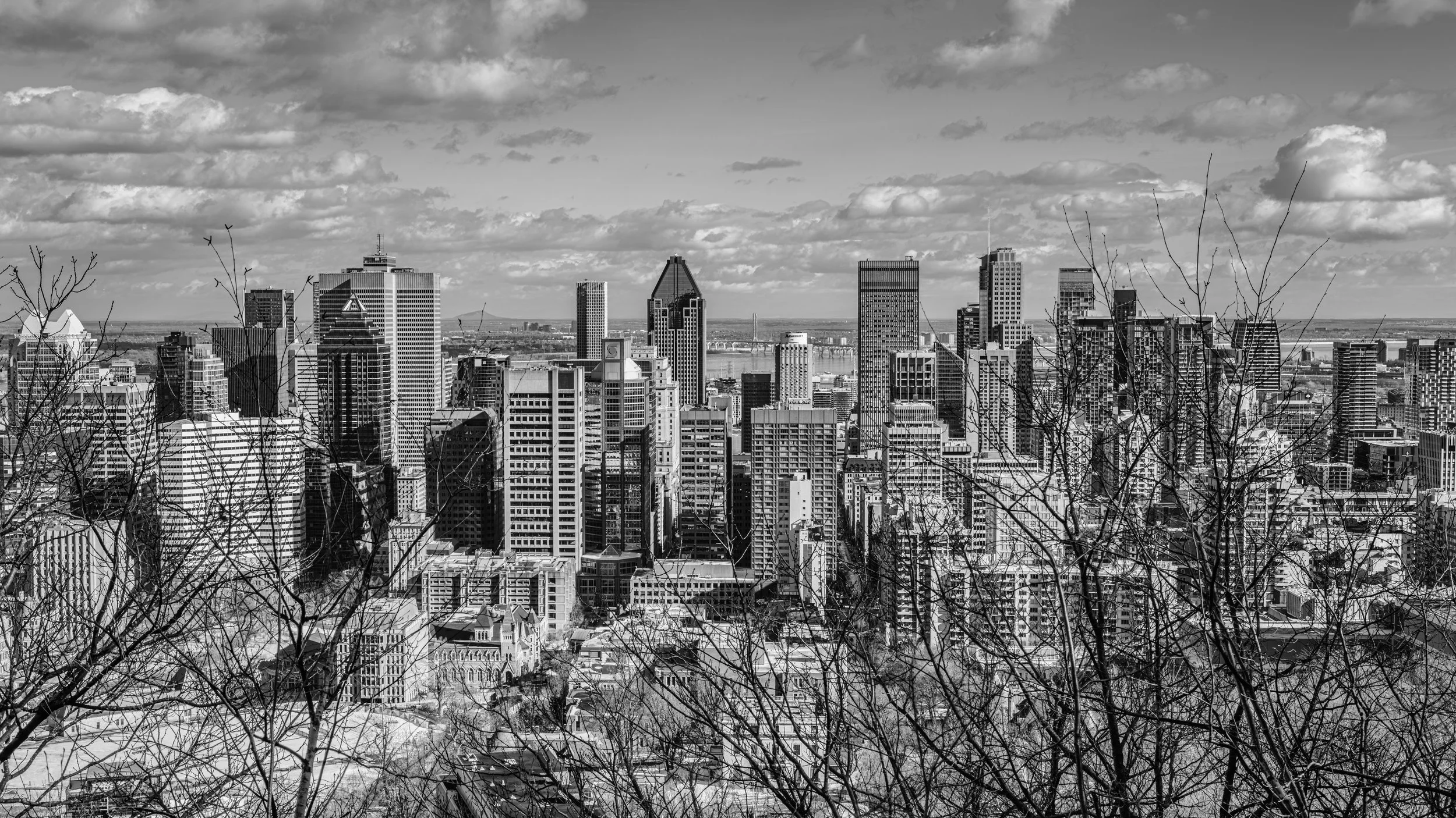 Black and white photograph of a city skyline with tall buildings and skyscrapers, seen through leafless trees in the foreground, under a partly cloudy sky.